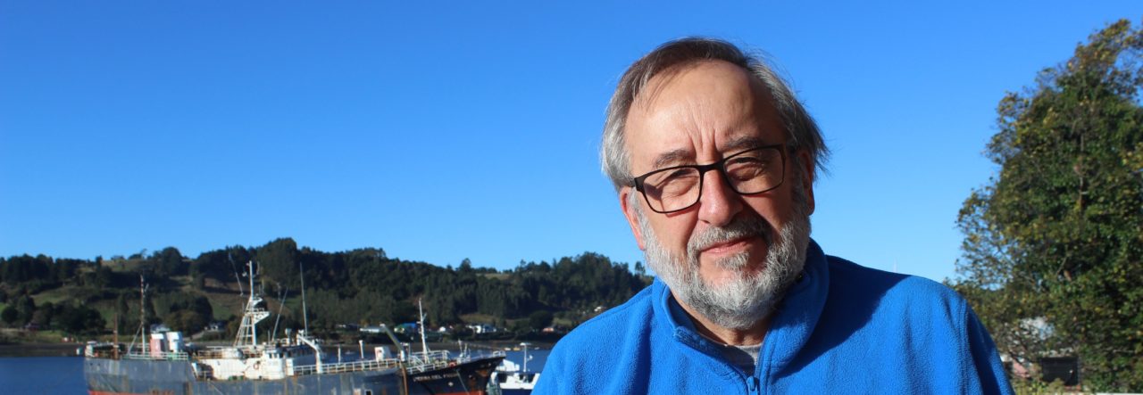 Algas: organismos de investigación y aplicación en la vida cotidiana