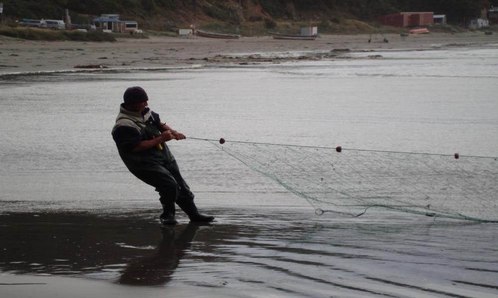 Dr. Franciso Ther continuará proyecto de transferencia socio-tecnológica con pescadores artesanales