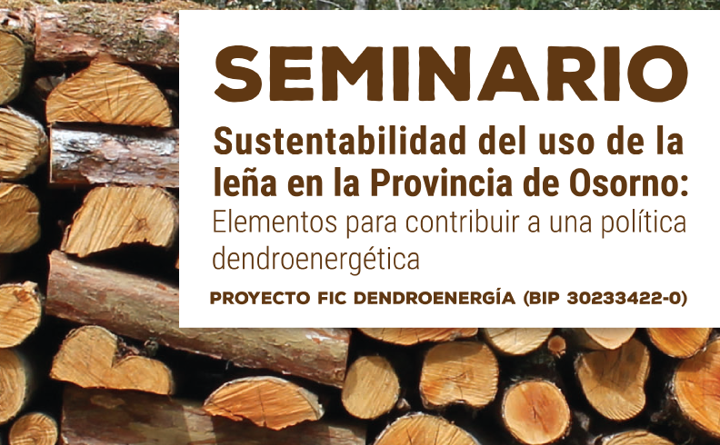 Seminario se propone ser un aporte a la gobernanza de la leña