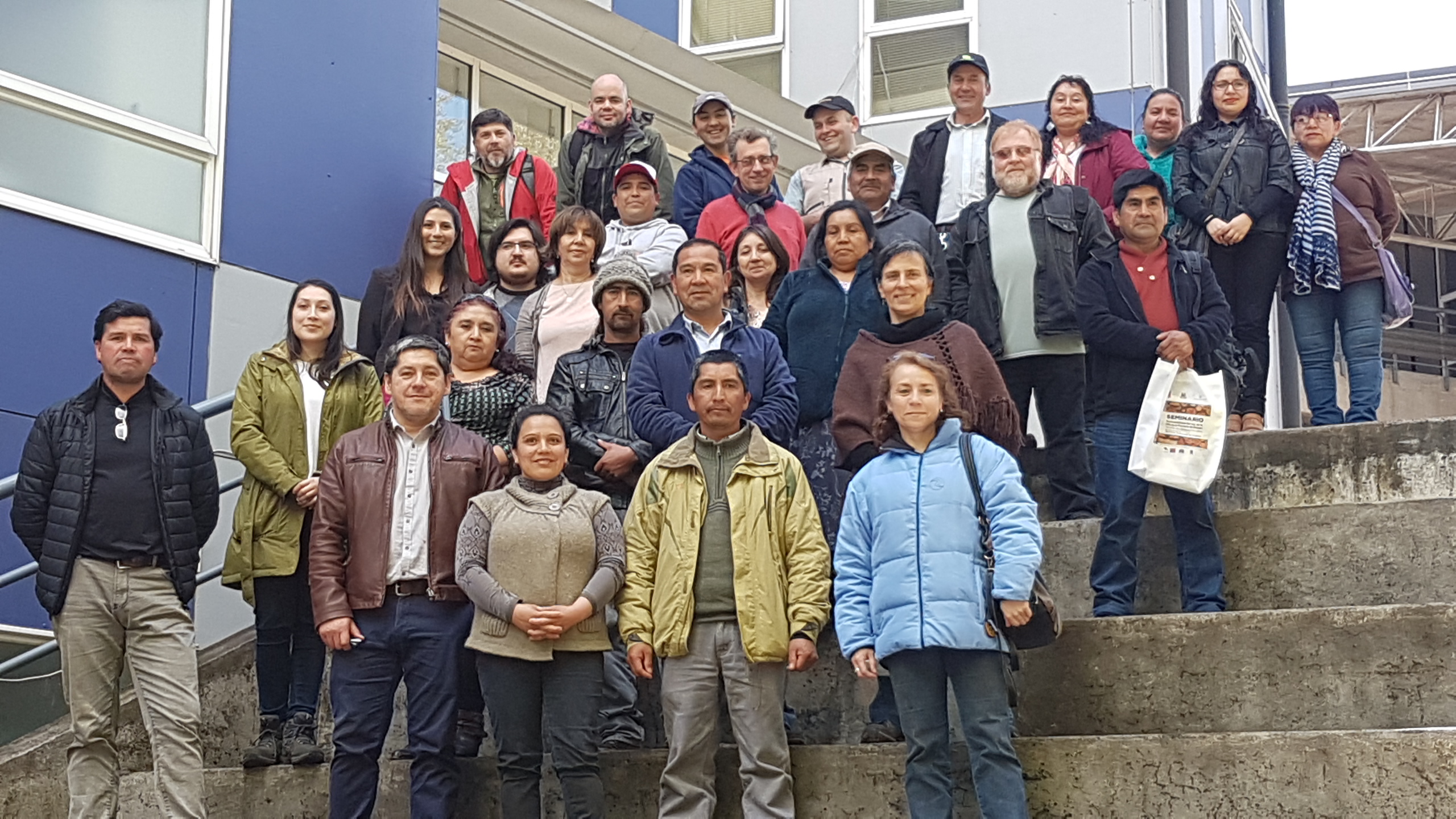 ULagos organiza seminario de la leña con visión integral para el desarrollo sustentable
