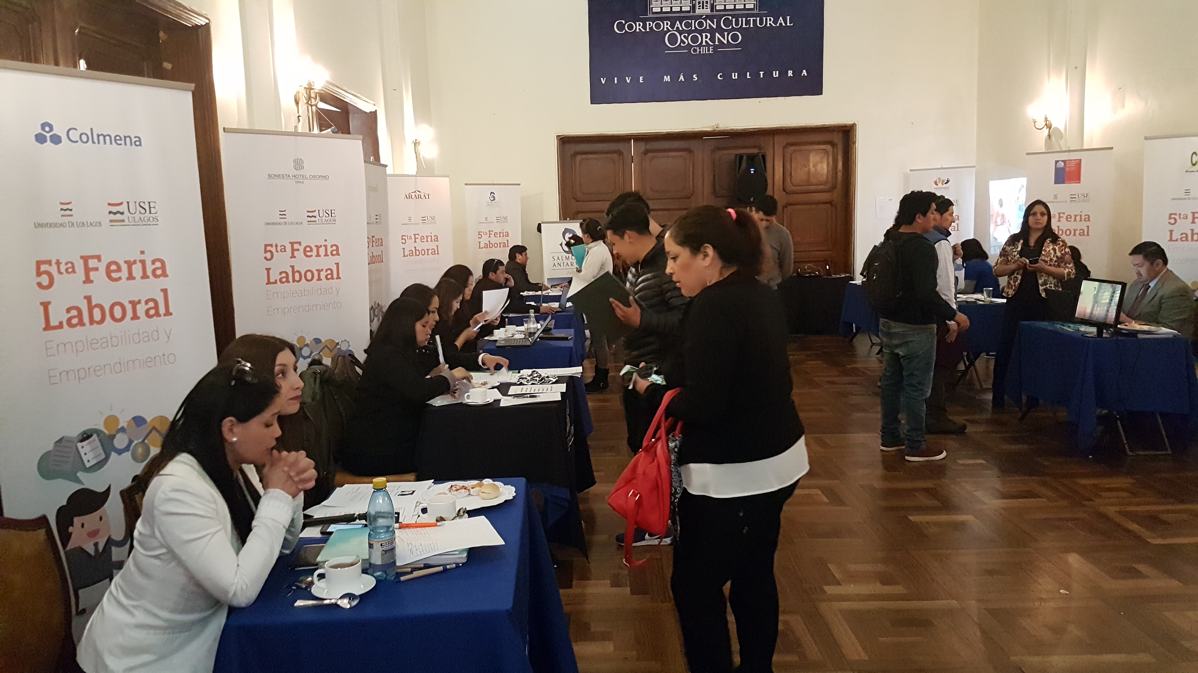 Masiva asistencia tuvo la V Feria Laboral de Empleabilidad y Emprendimiento de la ULagos en Osorno