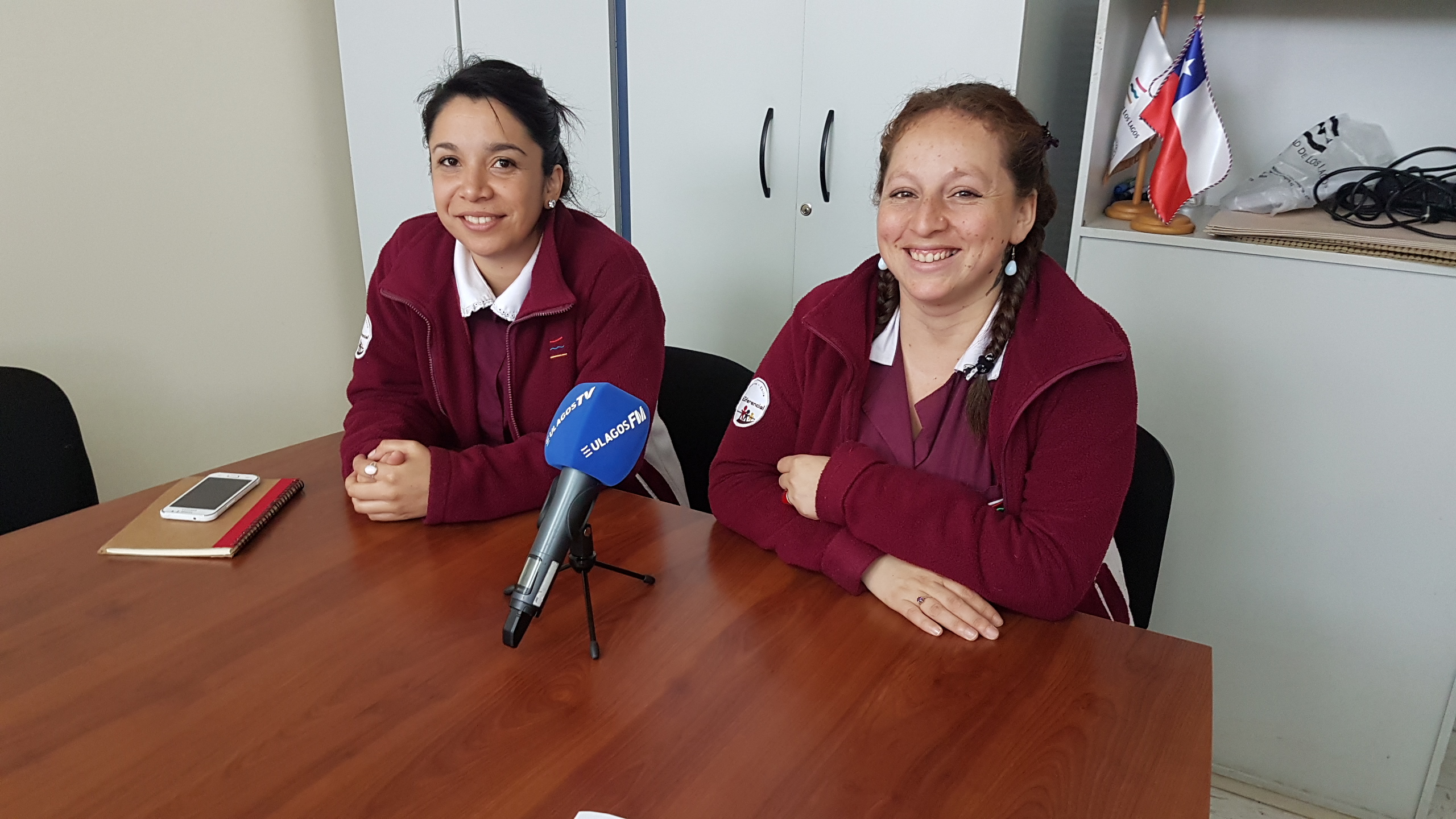 Estudiantes ULagos ganan proyectos FDI