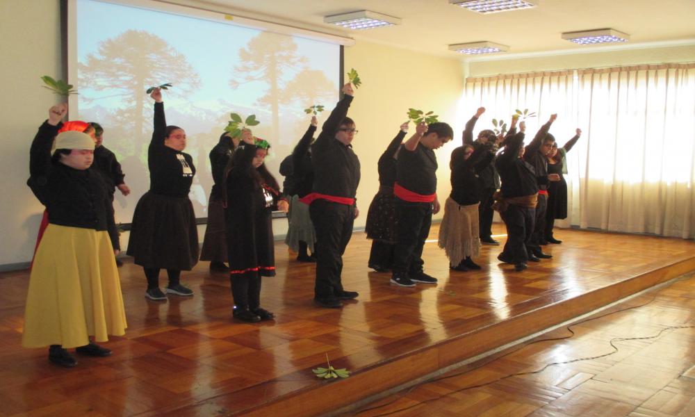 Jóvenes de Artifex Vitae encantan con teatro callejero