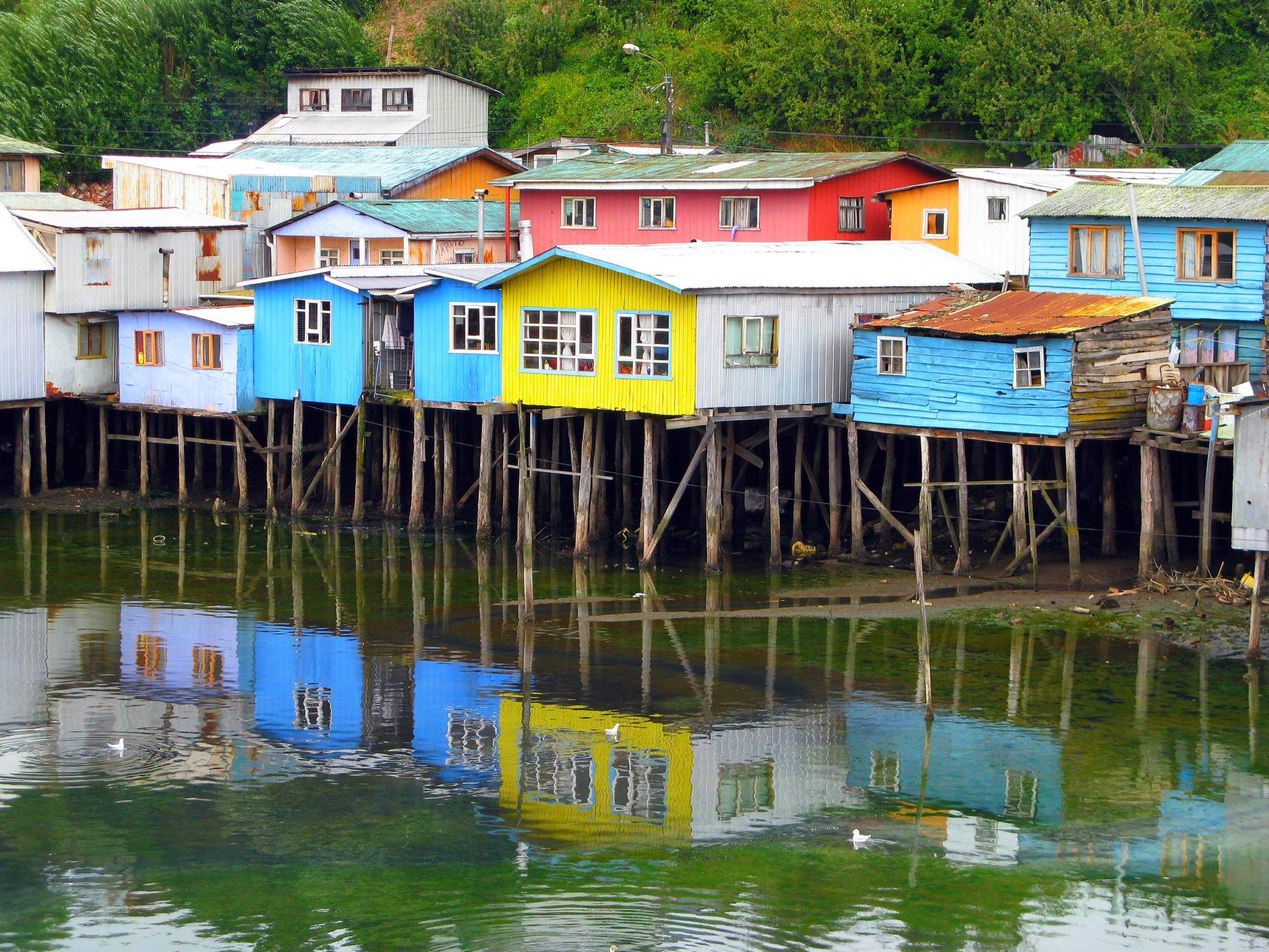 La identidad de Chiloé con las herramientas de la poesía para el día Internacional del Libro
