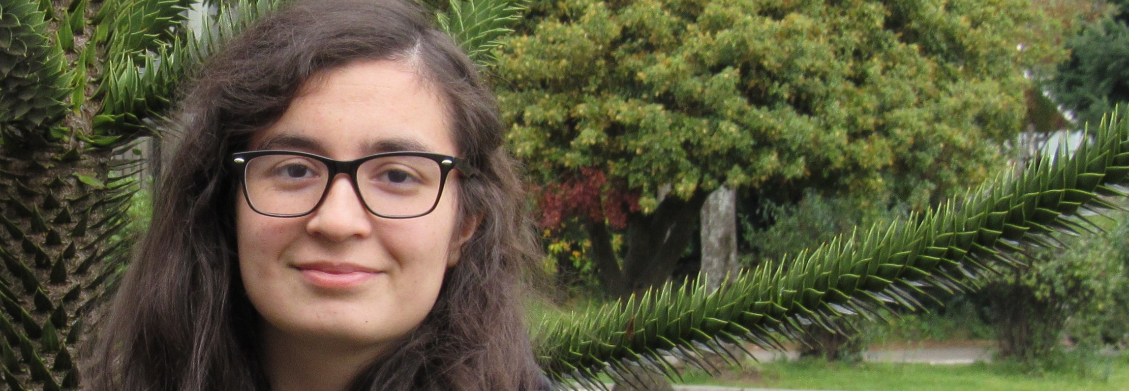 Avances en la investigación sobre ceras de hojas de plantas nativas chilenas.