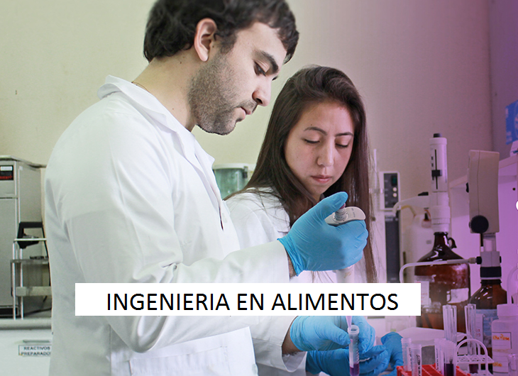 Ingeniería en Alimentos se acredita por 5 años superando rigurosos criterios de la CNA