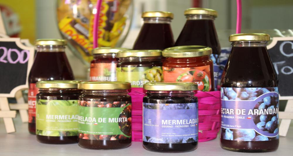 Productos de la Planta Procesadora de Alimentos de la Universidad de Los Lagos ya están disponibles en la Sede Santiago