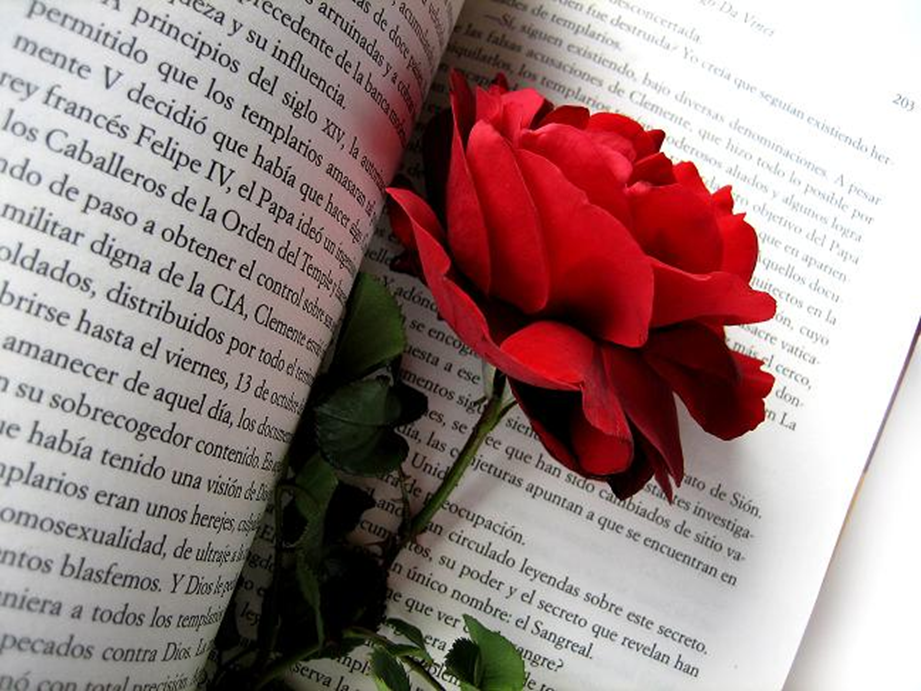 Sede Santiago conmemorará Día Mundial del Libro y del Derecho de Autor
