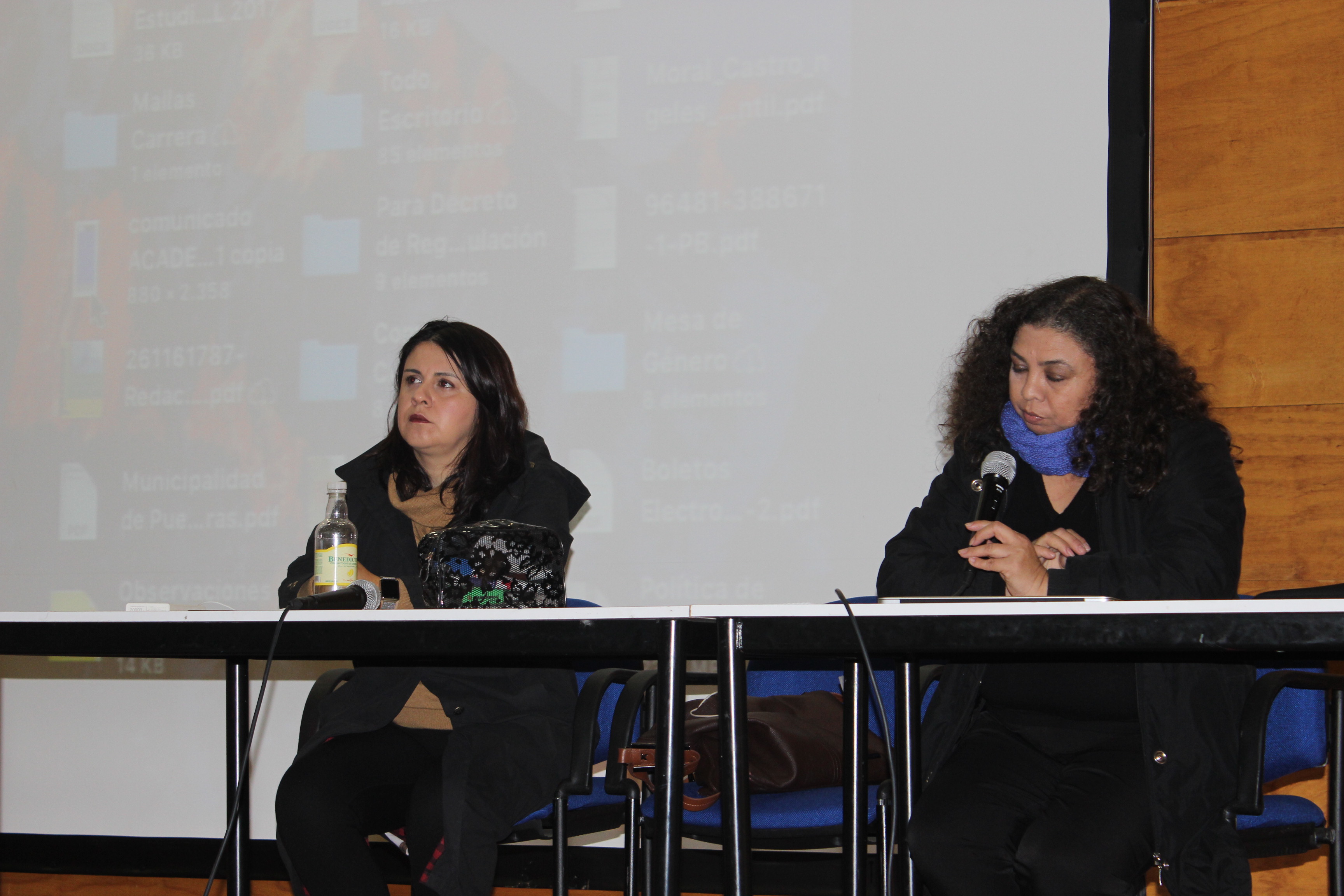Conversatorio sobre educación no sexista se desarrolló en la ULagos