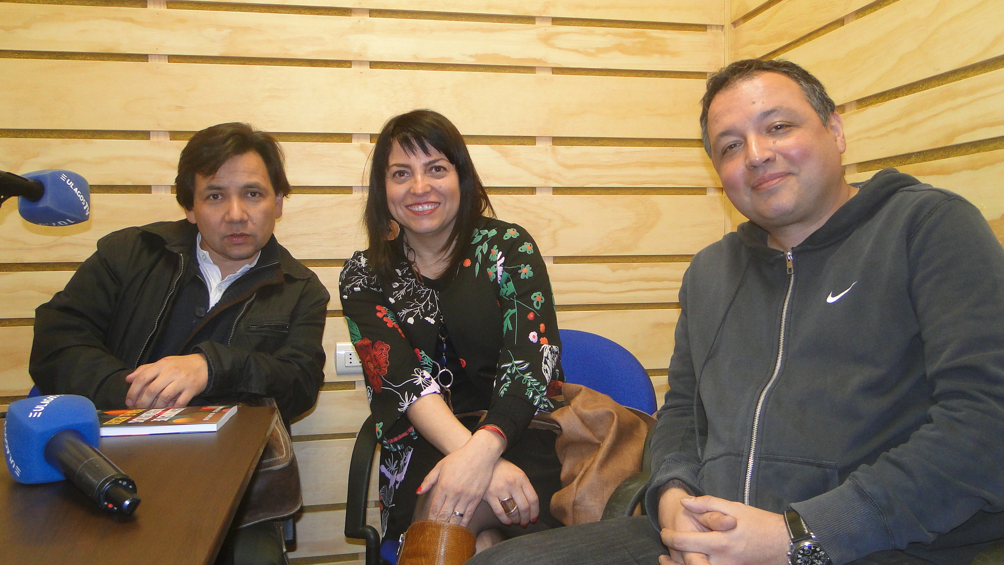Estudiantes de la ULagos serán monitores en VI Festival de Matemática