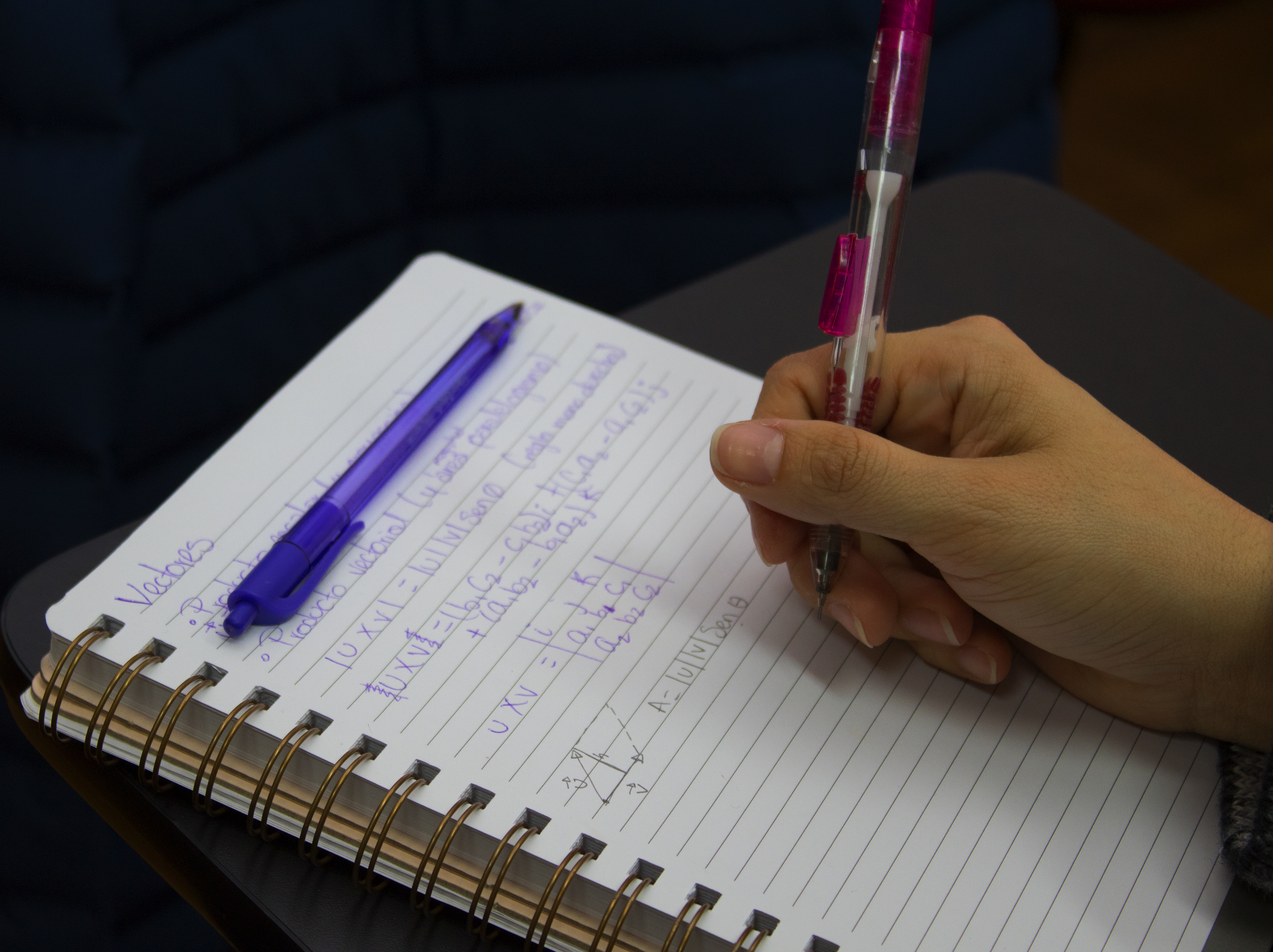 Estudiantes mexicanos realizaron estadías en Magíster en Educación Matemática