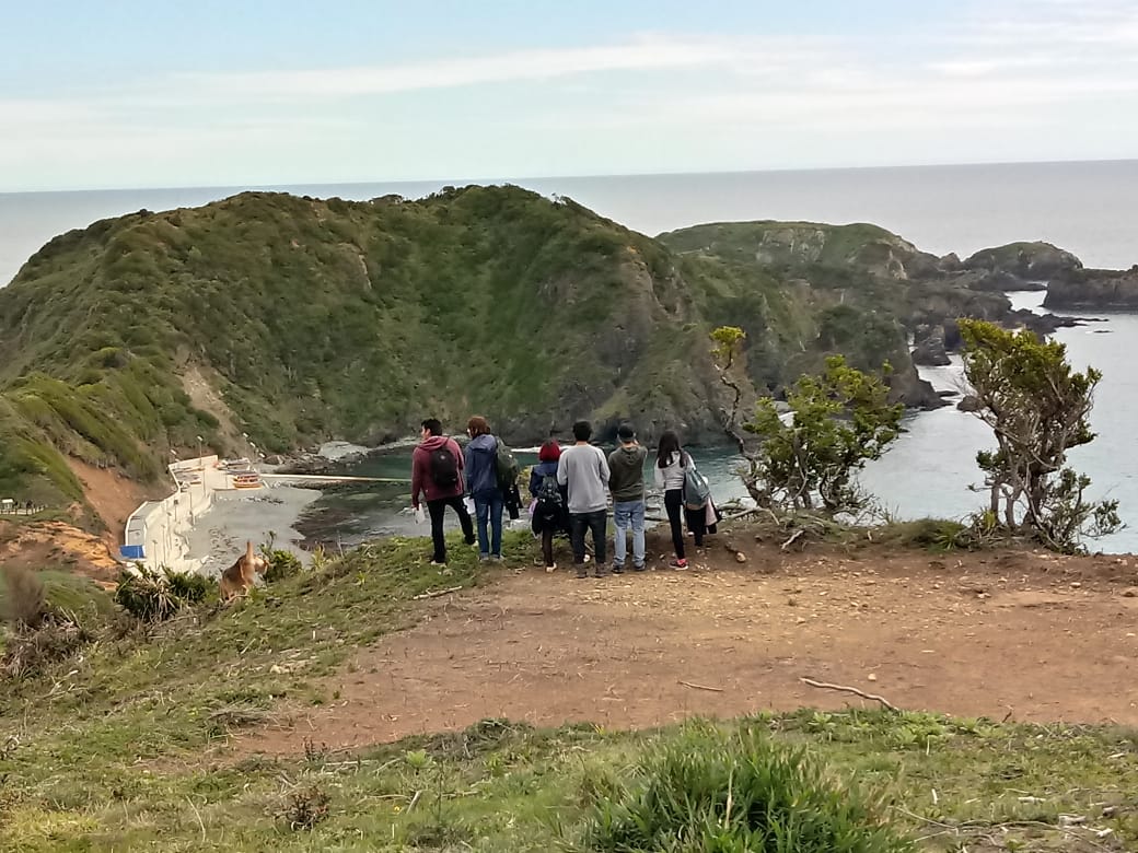 Caleta Estaquilla en el foco de estudiantes de Arquitectura