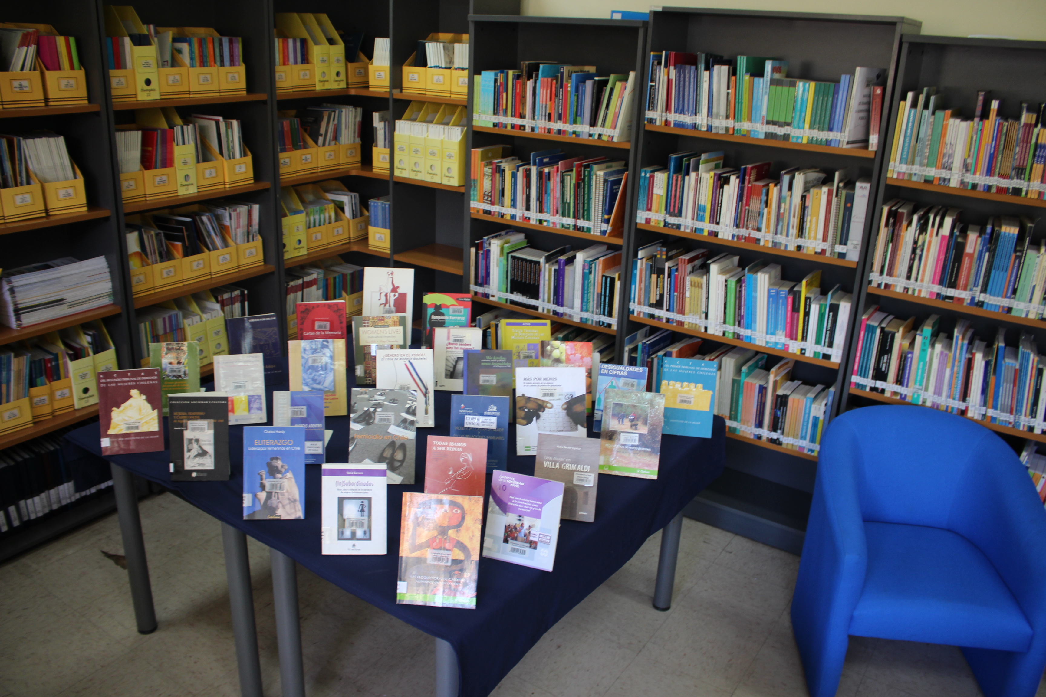Biblioteca Sede Santiago exhibe libros en el marco del “Noviembre Feminista”