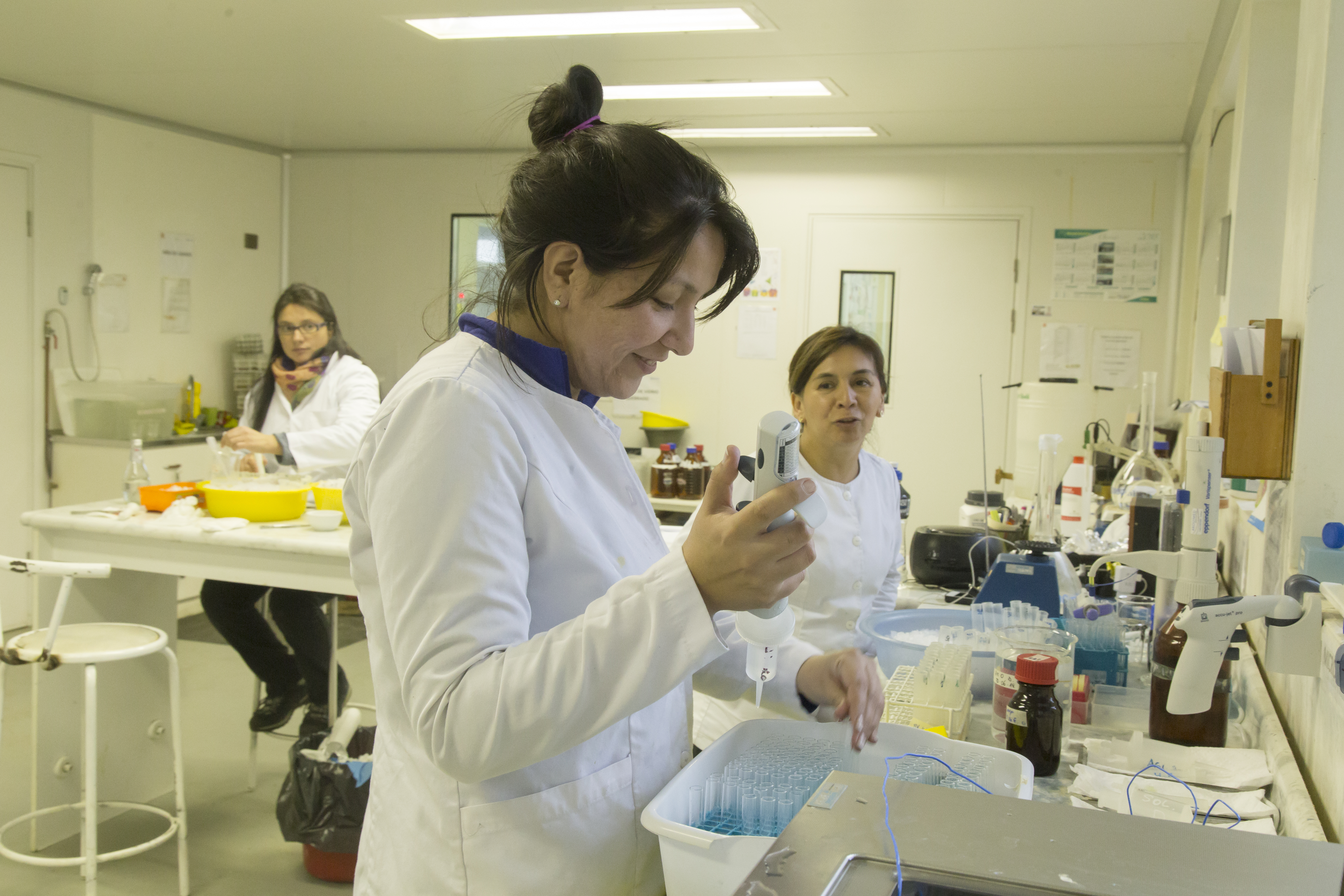 #CienciaUlagos: una nueva forma de vincular nuestra Ciencia