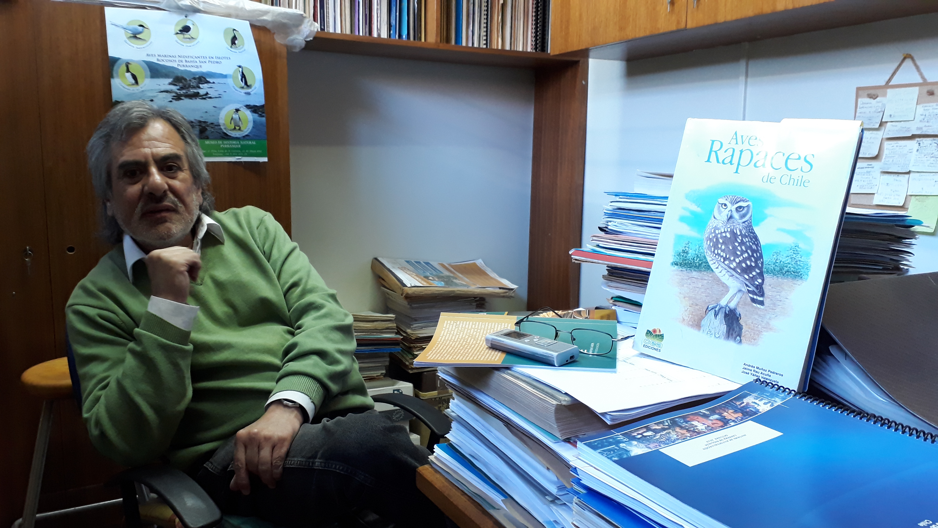 Académico de la ULagos co-edita libro que da cuenta de la biología y ecología de las aves rapaces en Chile
