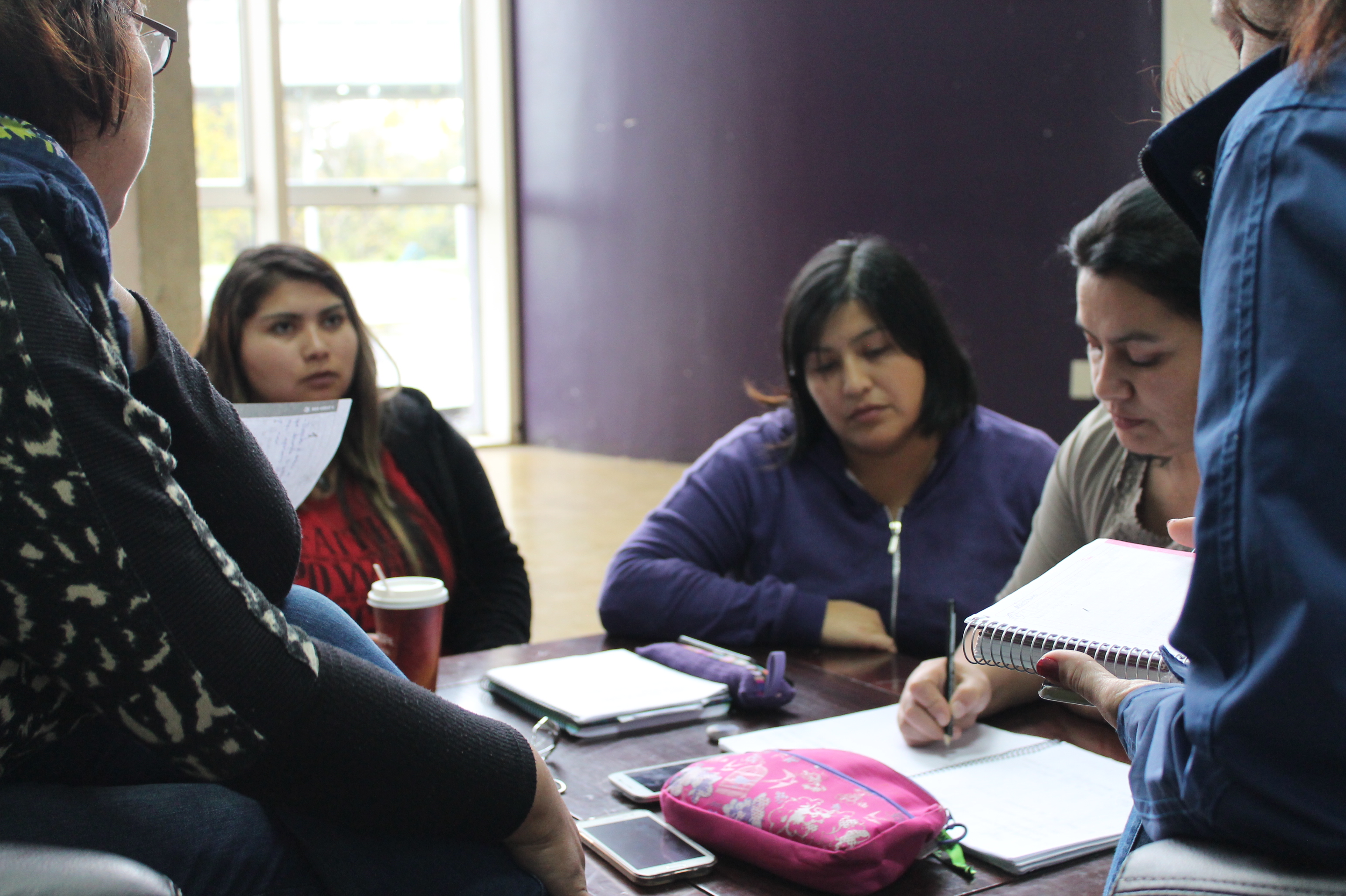 Universidad de Los Lagos conmemorará con avances el Día Internacional de la Mujer