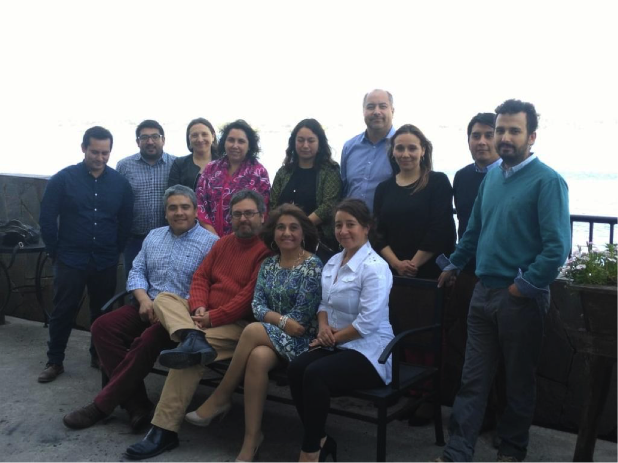 Actualización del Sistema de Gestión, Promoción y Aseguramiento de la Calidad  en la Universidad de Los Lagos