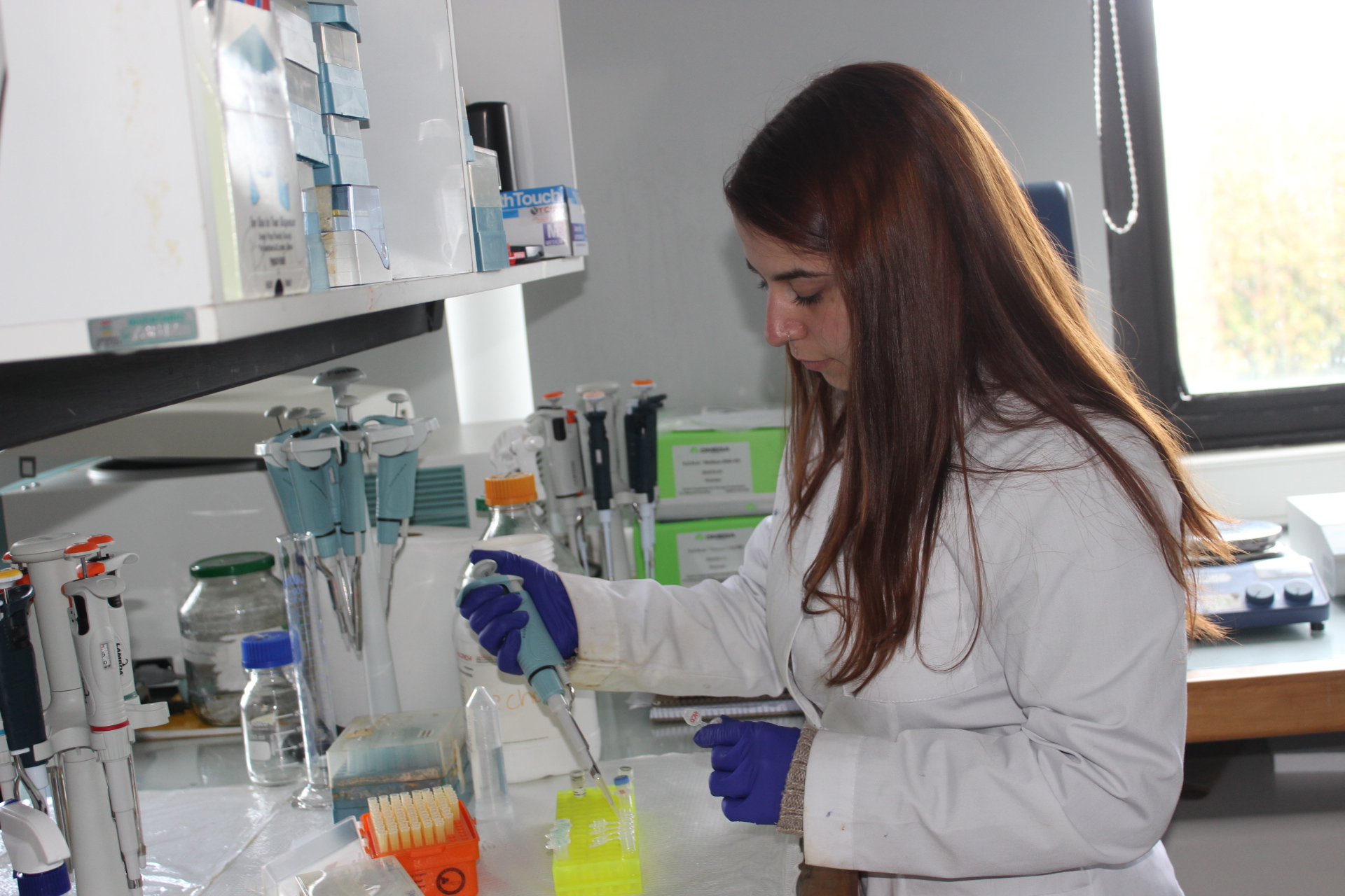 Investigación para el desarrollo regional