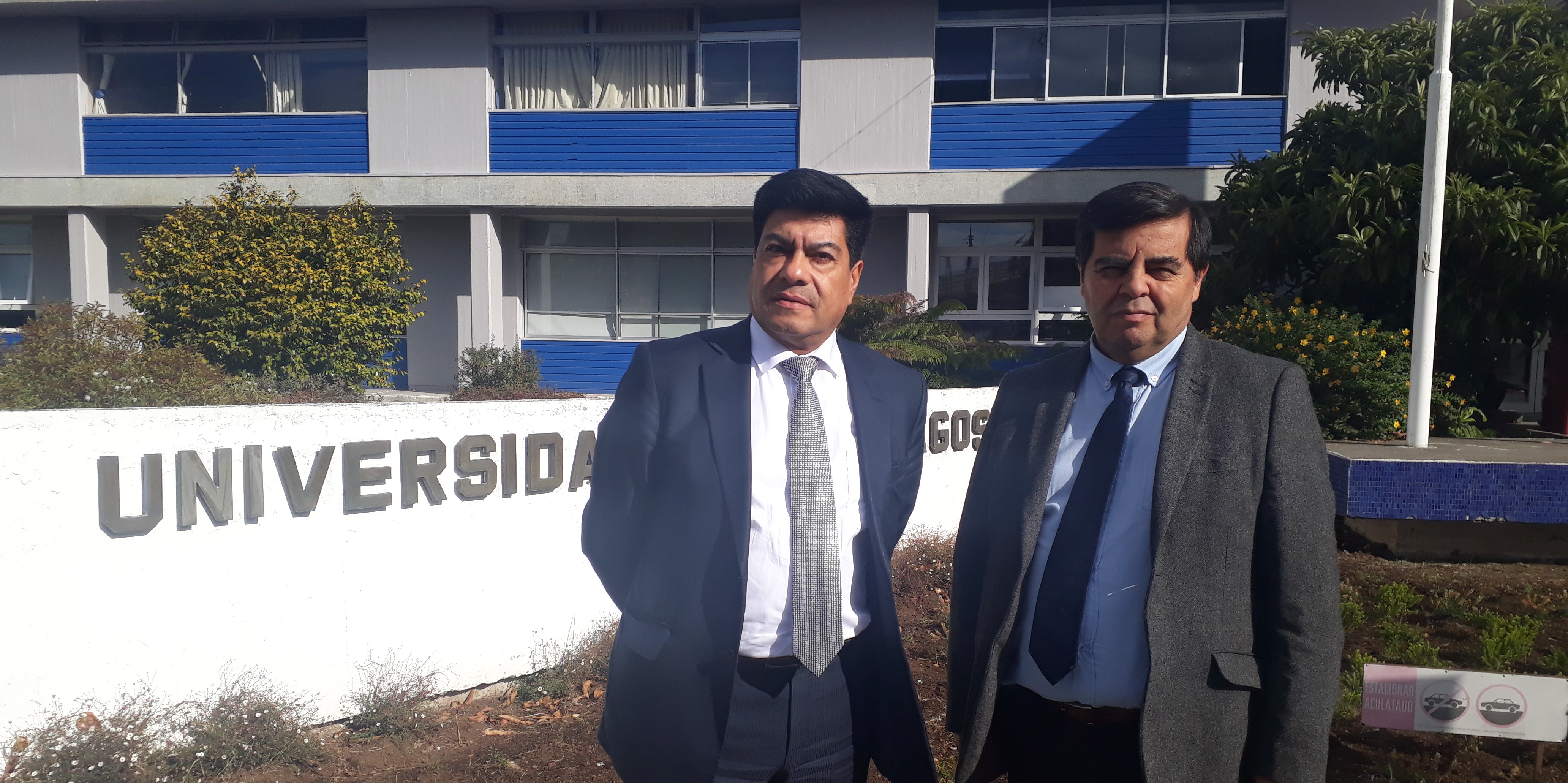 ULagos lidera entre las universidades del país el porcentaje de planta de académicos