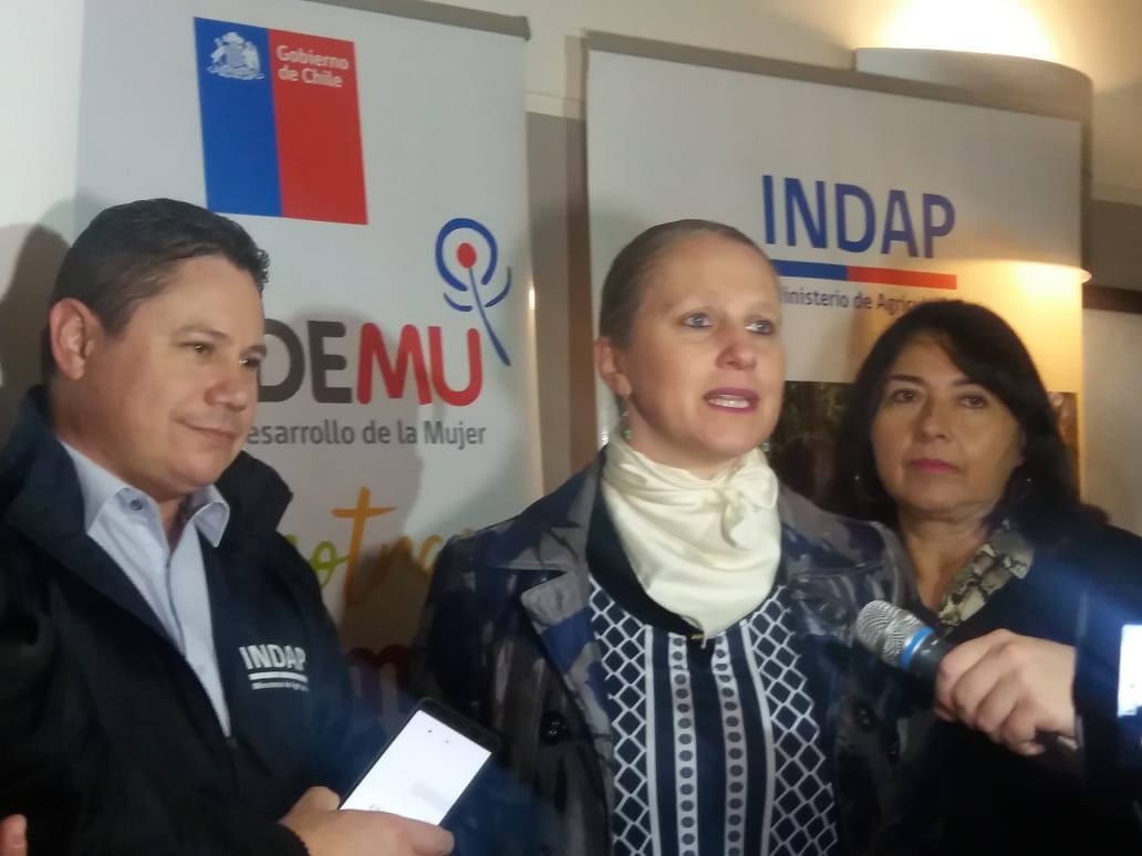 ULagos apoya Cumbre Mil Mujeres Protagonistas