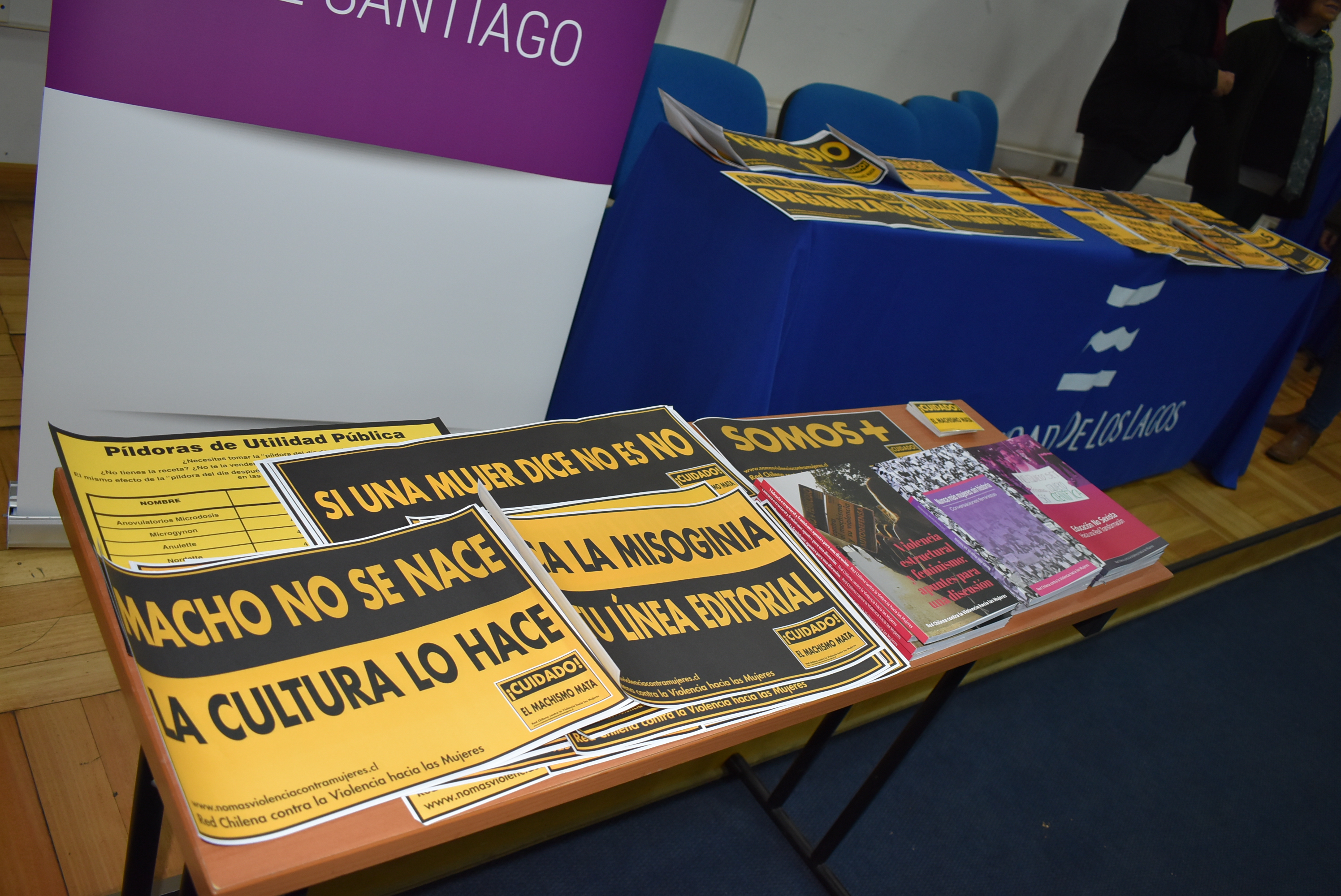 Alta convocatoria y participación marcaron el “mayo feminista” en la ULagos