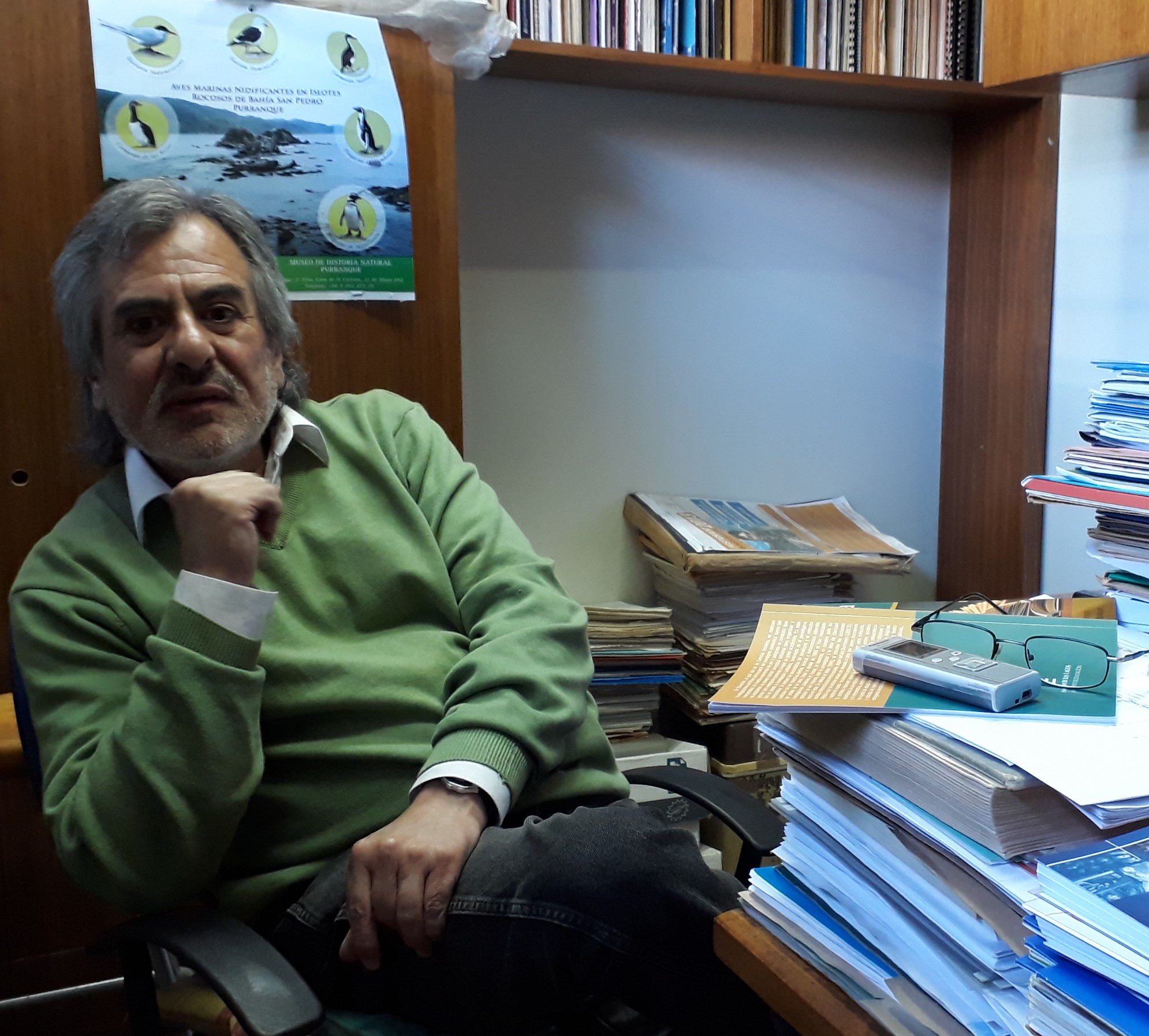Humedales de Llanquihue buscan controlar el temido visón