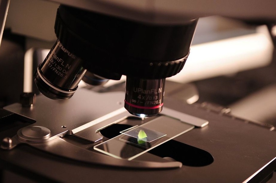 Doctorado en Ciencias mención Conservación y Manejo de Recursos Naturales en proceso de acreditación ante CNA-Chile