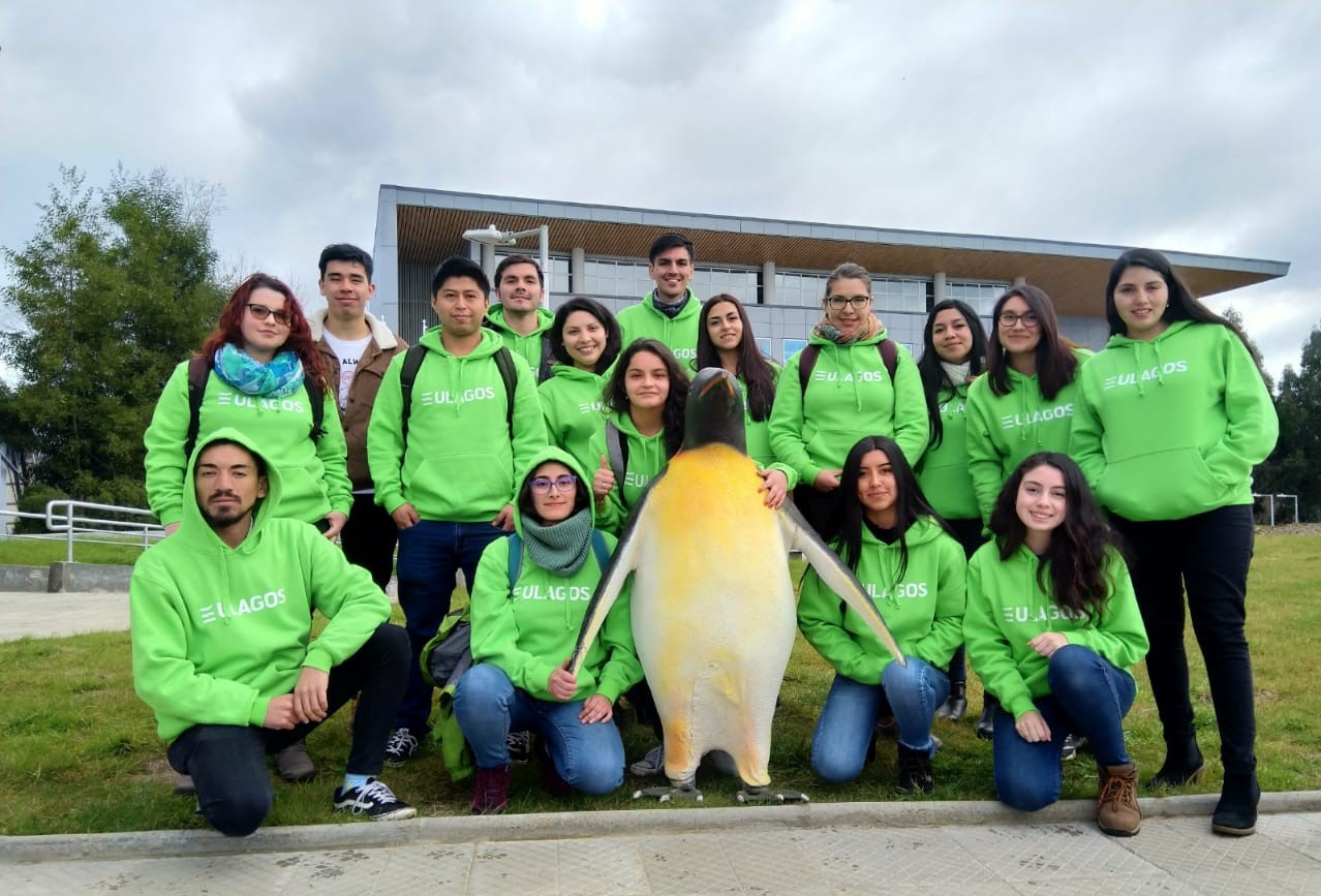 Escuela Ambiental de Invierno tuvo énfasis en el arte y patrimonio   