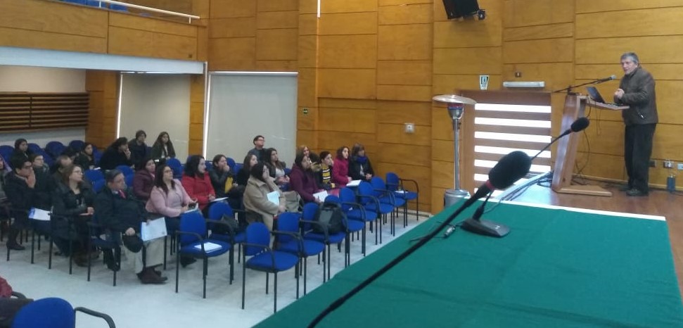 Red de Formación de Profesores de la ULagos realizó conversatorio sobre inclusión