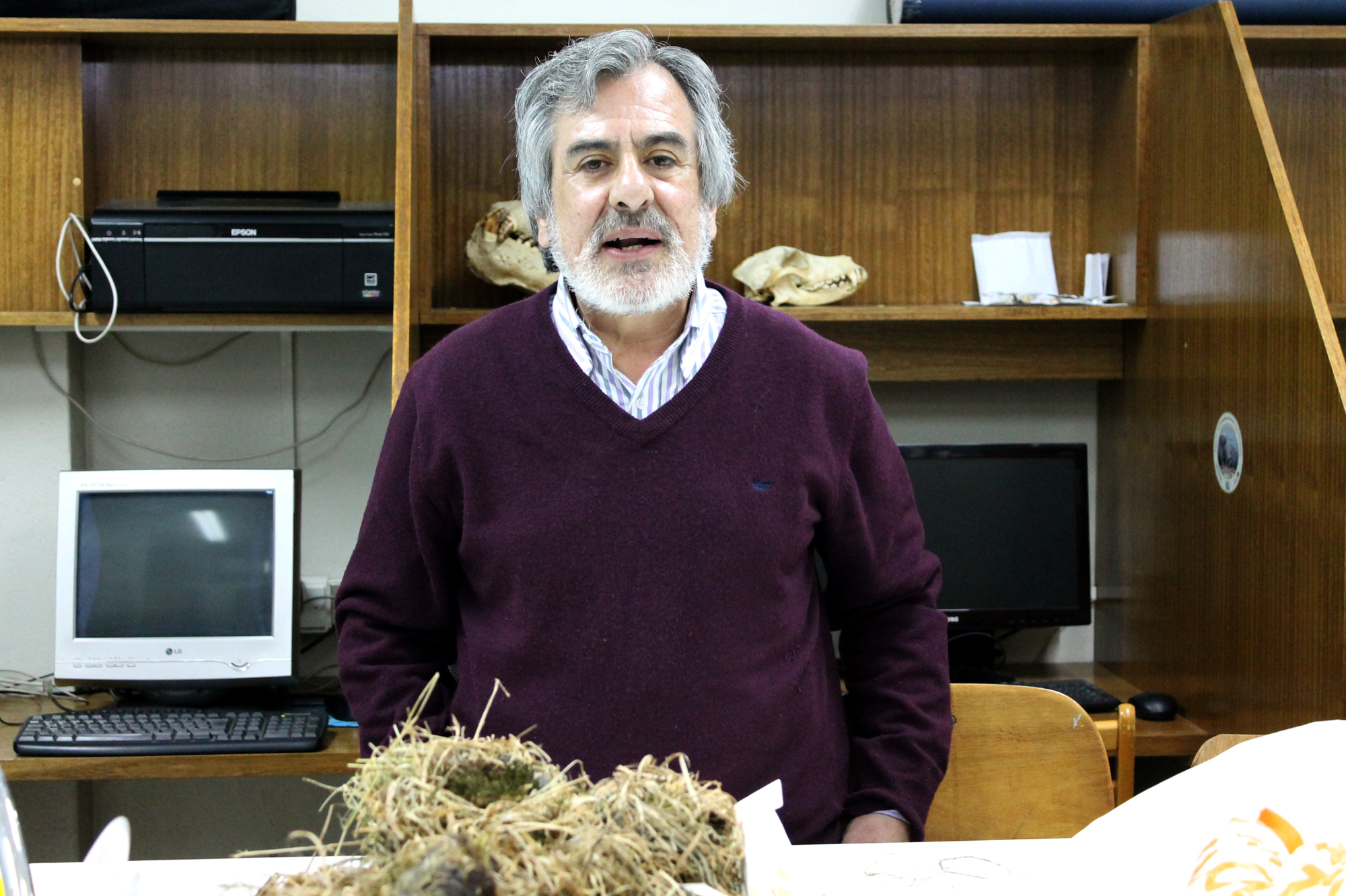 Ecólogos proponen mejoras a la normativa que protege el patrimonio biológico nacional