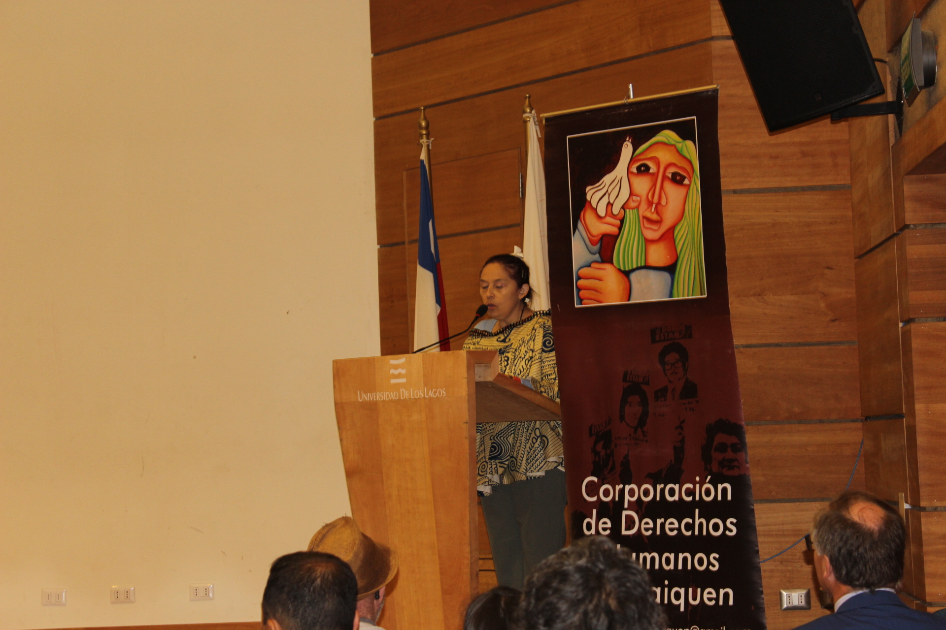 ULagos junto a instituciones locales establecen lista de “Observadores de DDHH”