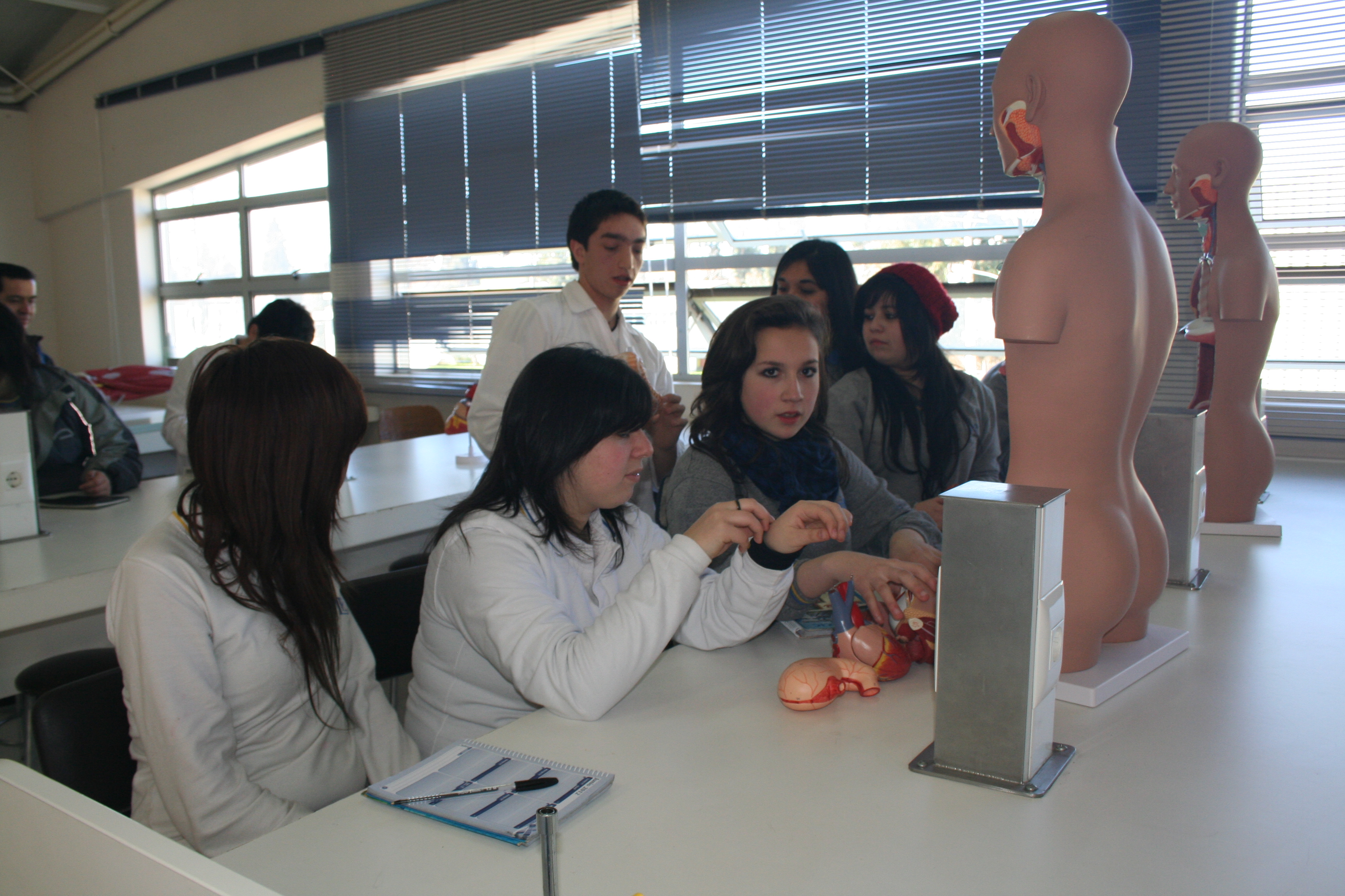 Innovación e investigación en la práctica docente cotidiana