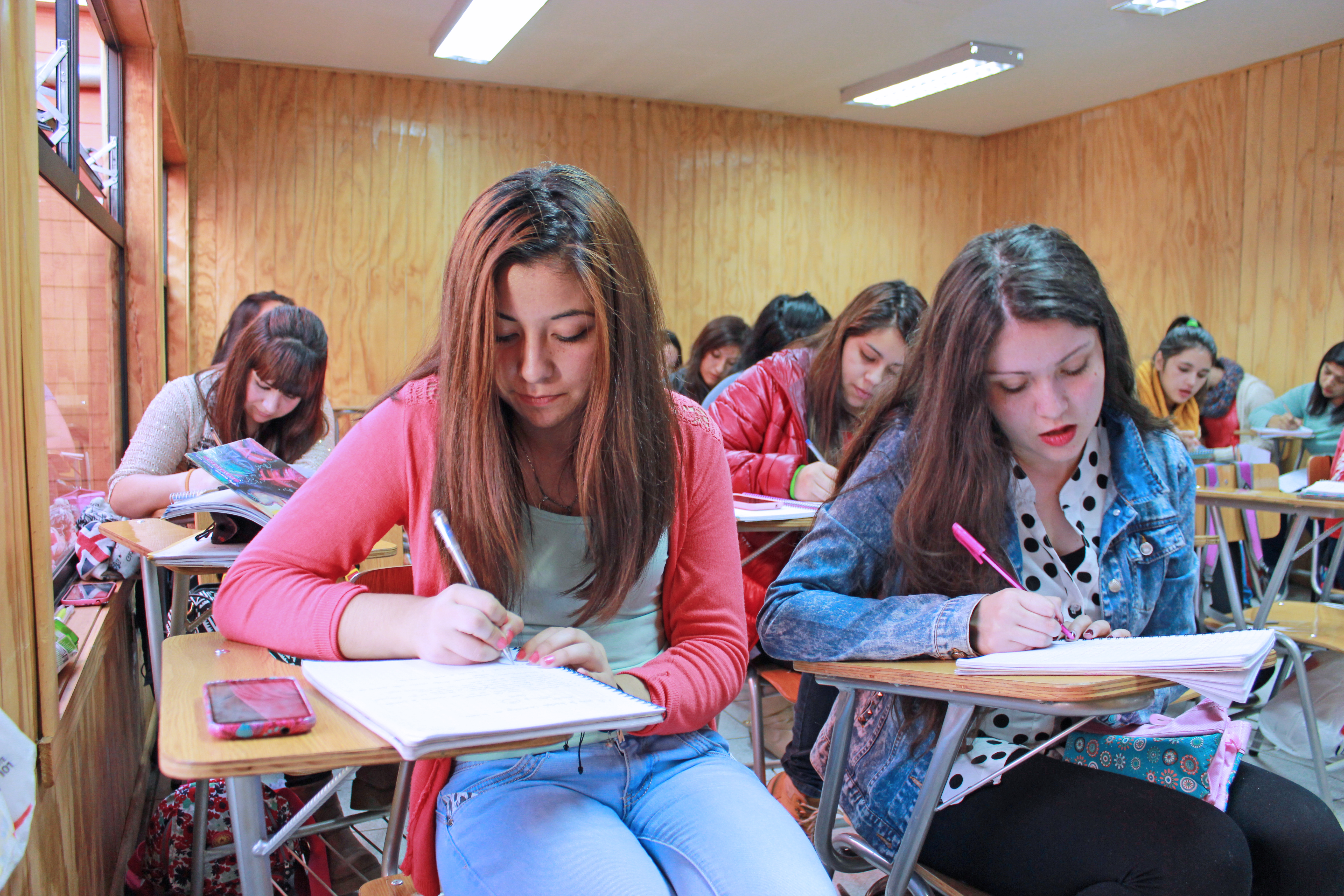Pedagogía en Educación Media con Mención Lengua Castellana y Comunicaciones se acredita por tres años