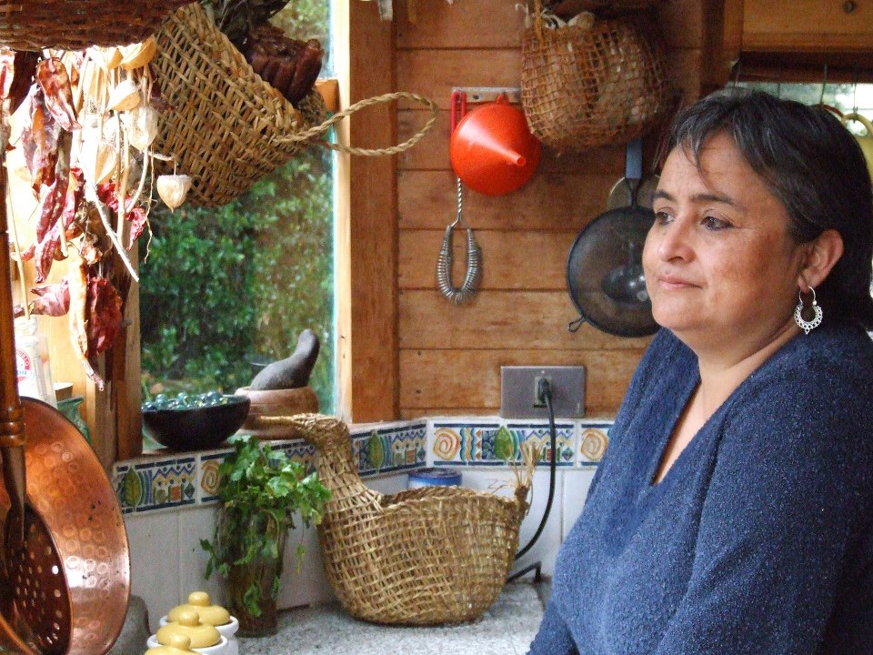 Universidad de Los Lagos postula a la poeta chilota Rosabetty Muñoz al Premio Nacional de Literatura