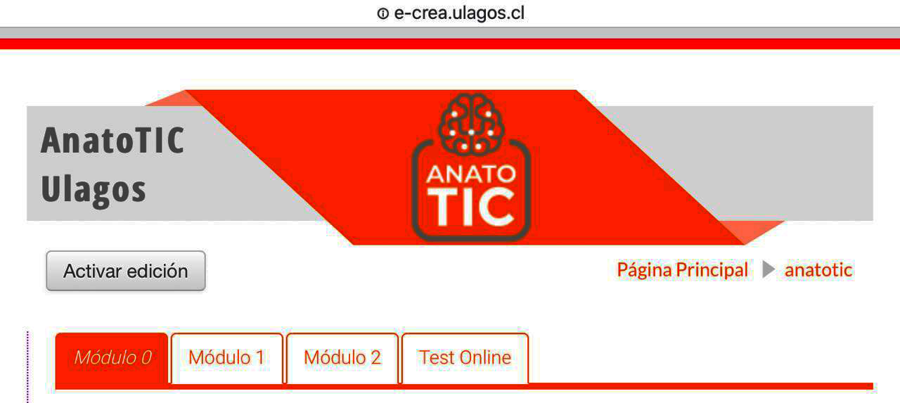 Kinesiología ULagos desarrolla plataforma virtual de aprendizaje