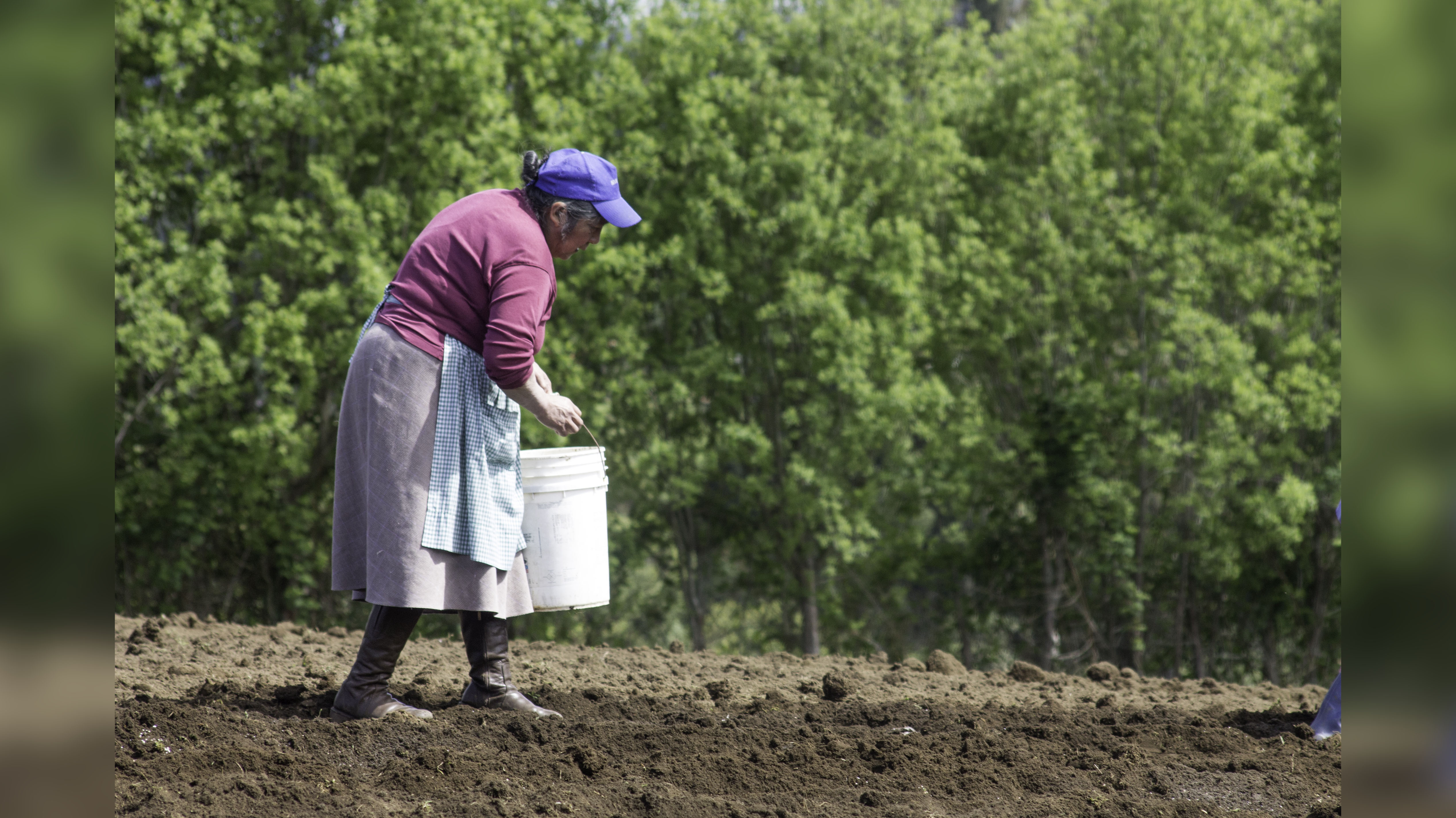 Dra. Boza: “Los pequeños agricultores están muy preocupados por no poder acceder a los mercados en esta situación sanitaria”