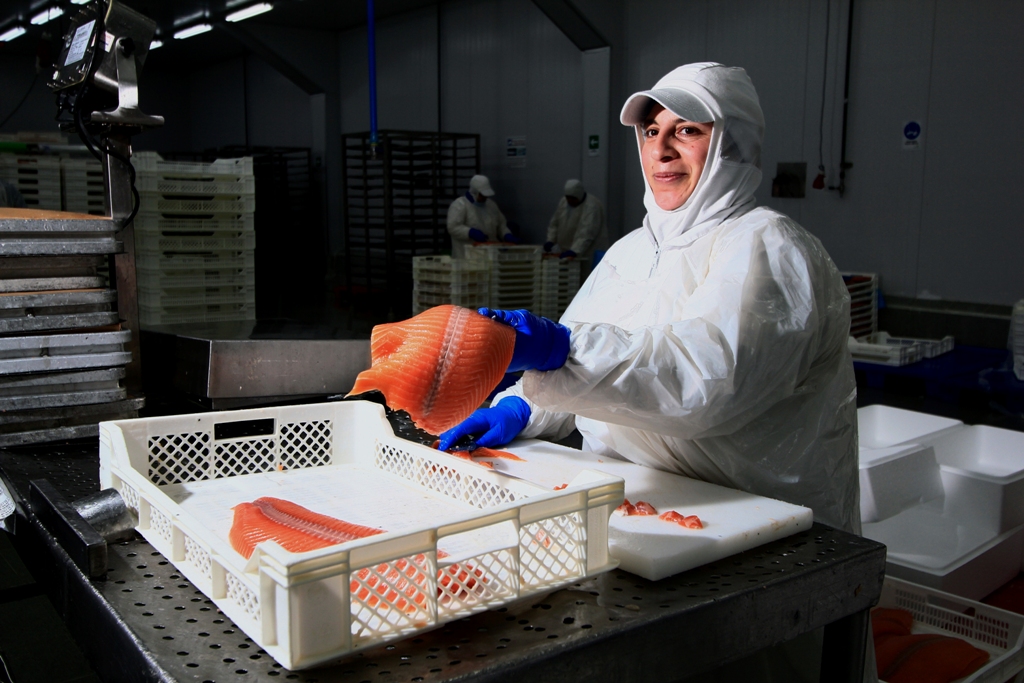 Participación laboral femenina en la industria del salmón de la región, un nuevo desafío en tiempos de pandemia