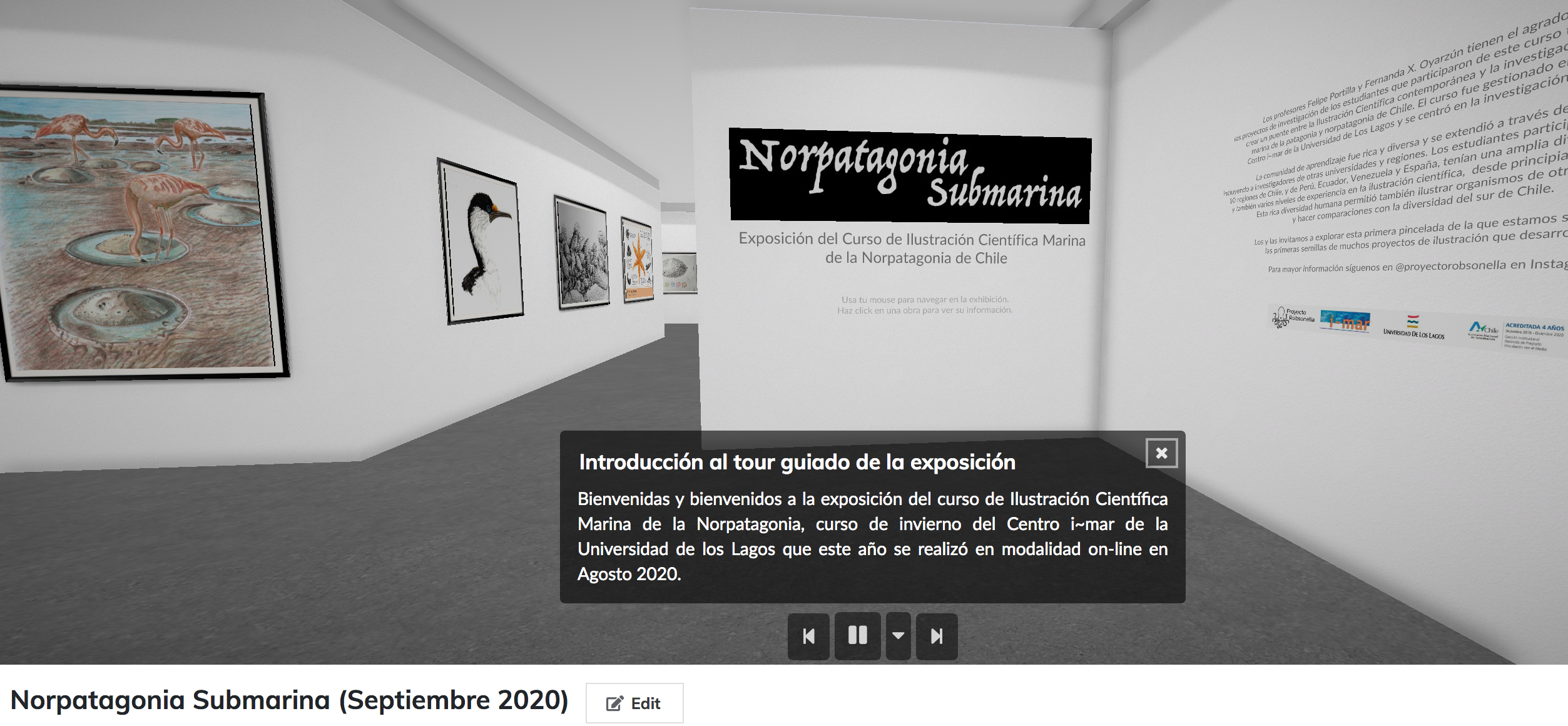 Curso de invierno i~mar culmina con exposición virtual de Arte y Ciencia