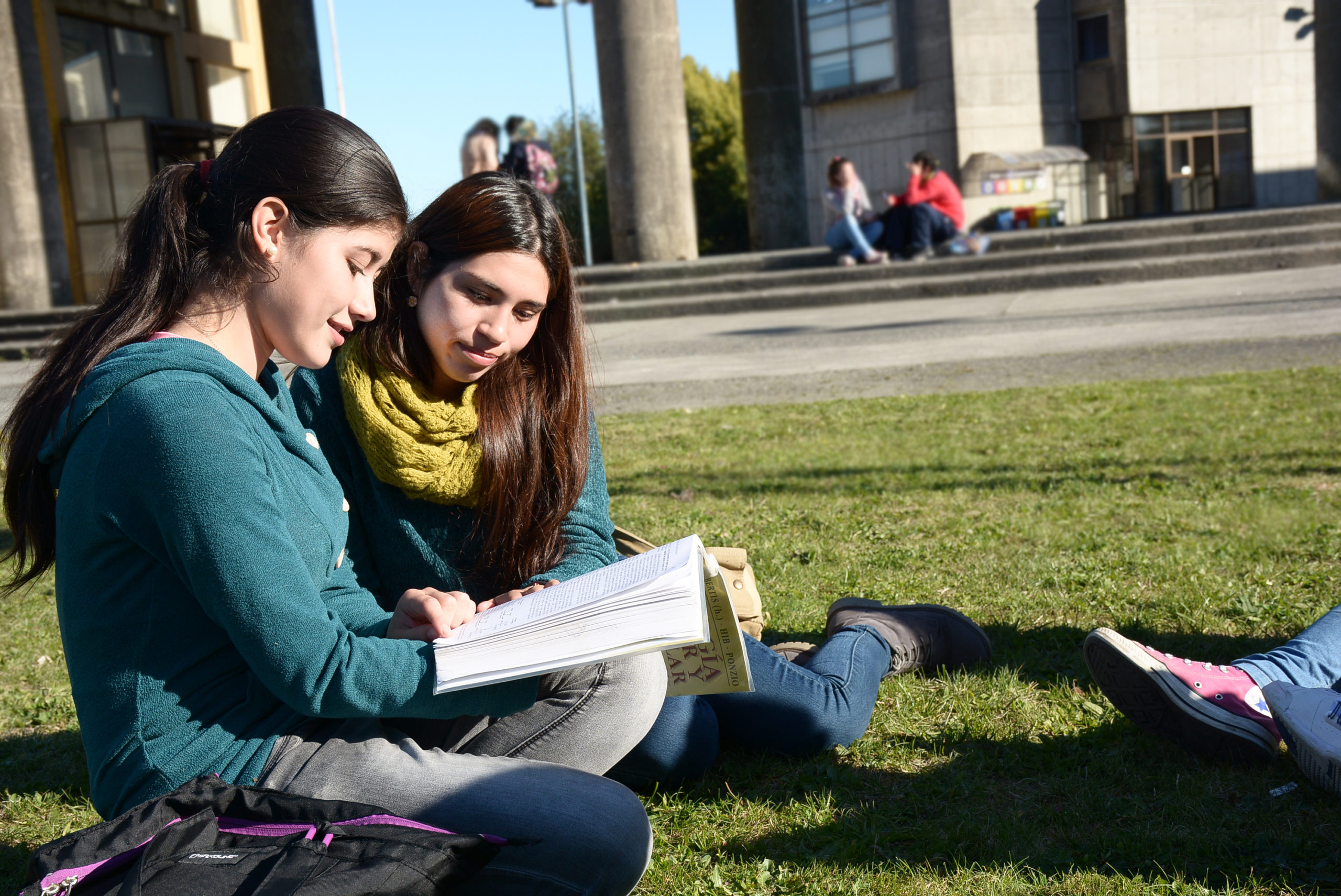 ULagos trabaja en red en torno a la formación inicial de profesores