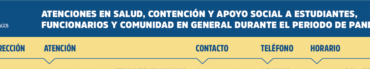 Tiempos de pandemia: ULagos entrega apoyo integral a la comunidad