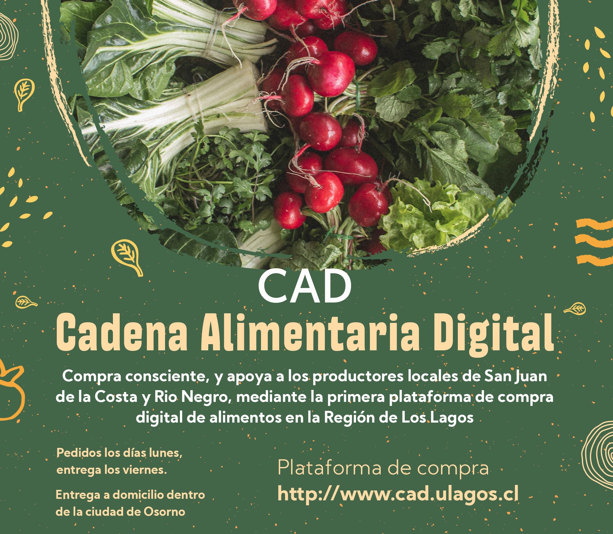 Plataforma digital busca apoyar a productores locales de San Juan de la Costa y Río Negro