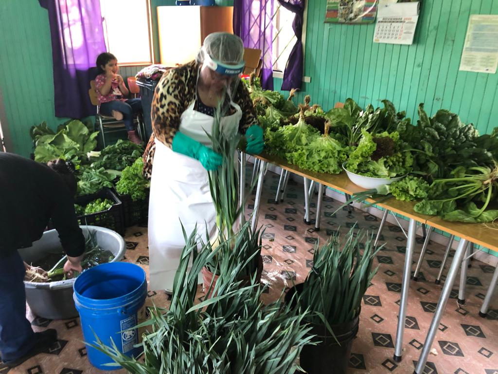 Cadena Alimentaria Digital trae a su mesa hortalizas y frutas de San Juan de la Costa y Río Negro