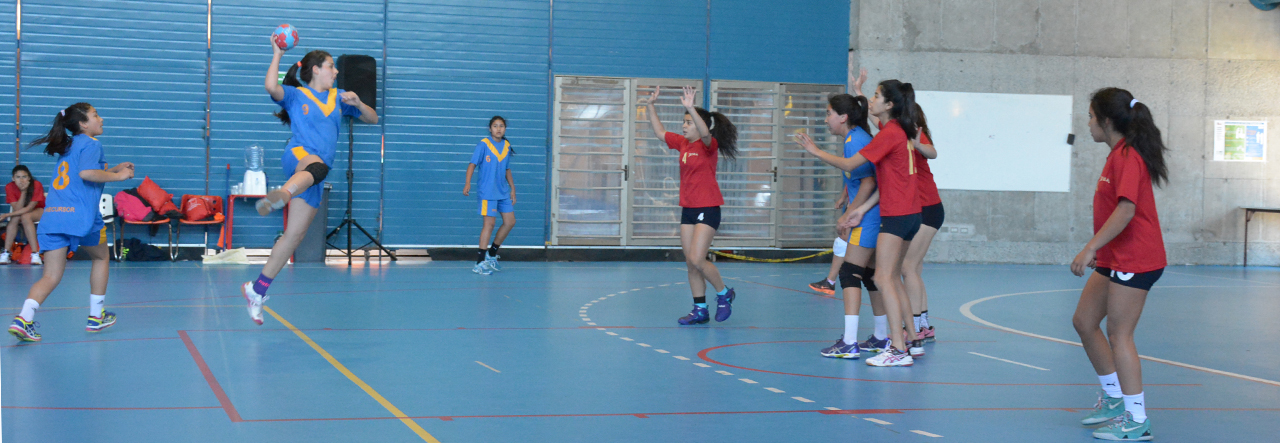 Pedagogía en Educación Física realiza seminario de Metodologías de Hándbol para escolares
