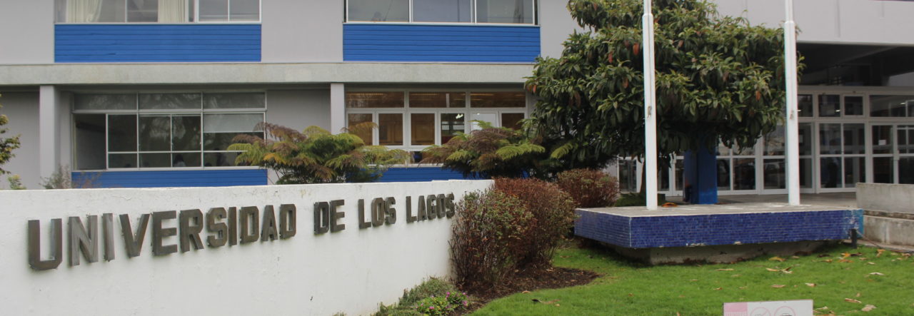 CNA extiende la acreditación Institucional y de las Carreras Pedagógicas