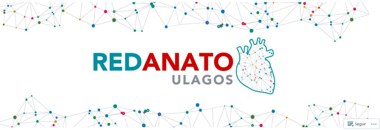 REDANATO, la plataforma multimedia de Kinesiología que enseña Anatomía Humana a escolares de la región