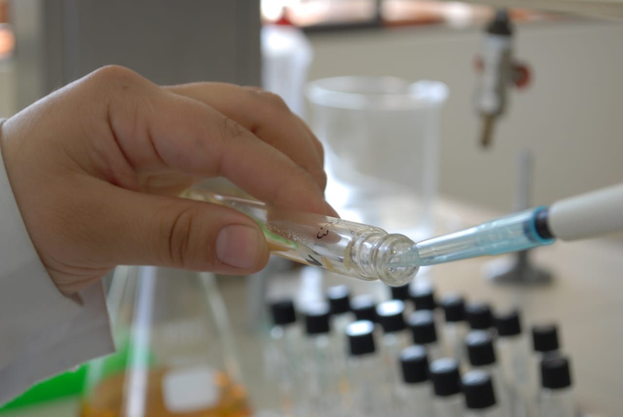 Mujeres destacan en obtención de Beca Anid para investigación en Doctorado de la ULagos