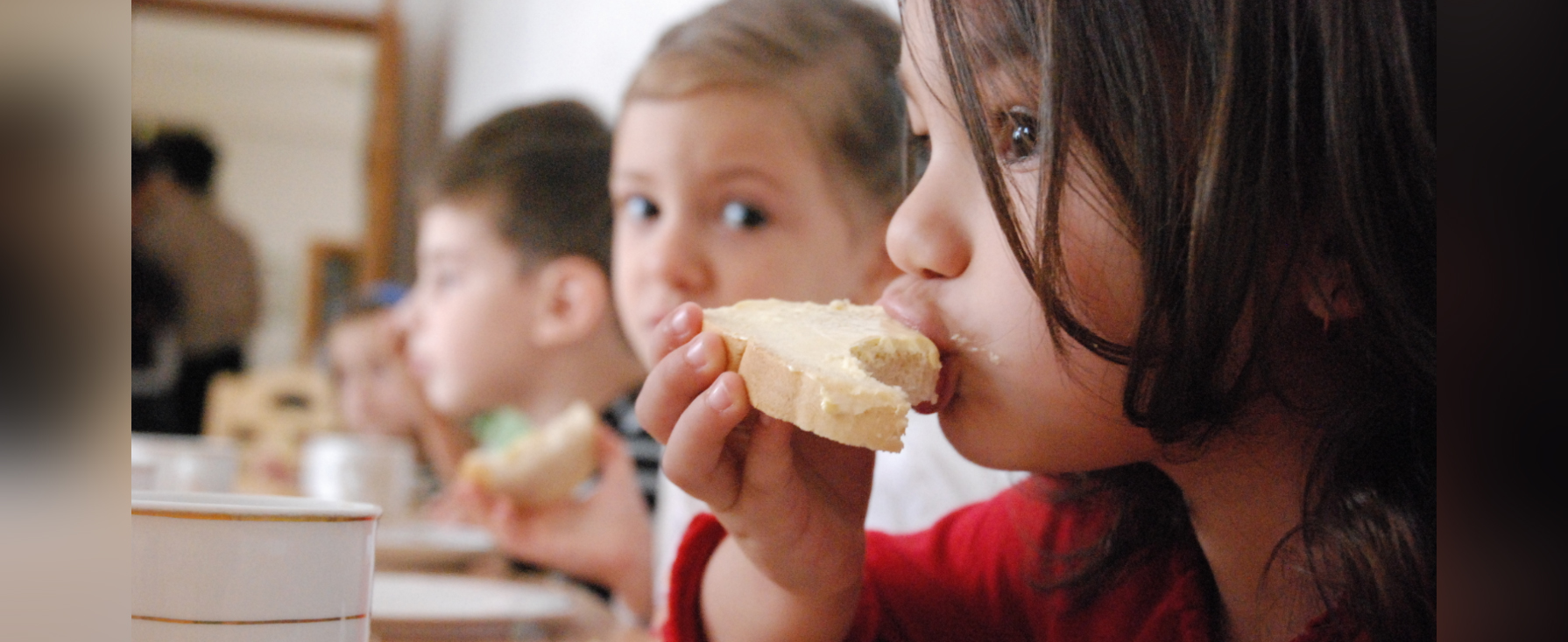 Académica afirma que el derecho a la alimentación sana y segura debe estar incorporado en la nueva Constitución