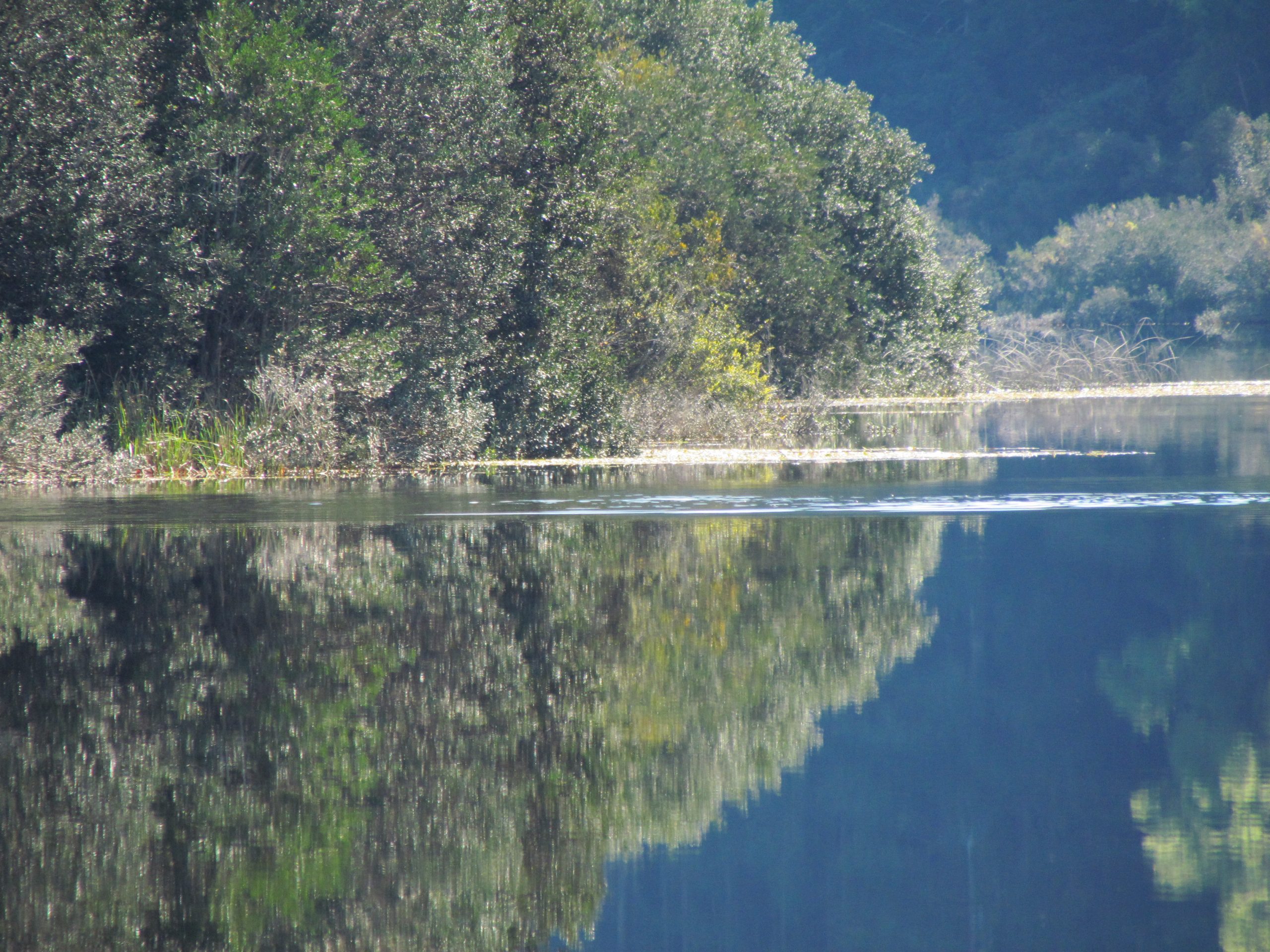 Investigación en Laguna Trinidad: Ciencia ULagos al servicio del territorio y la comunidad