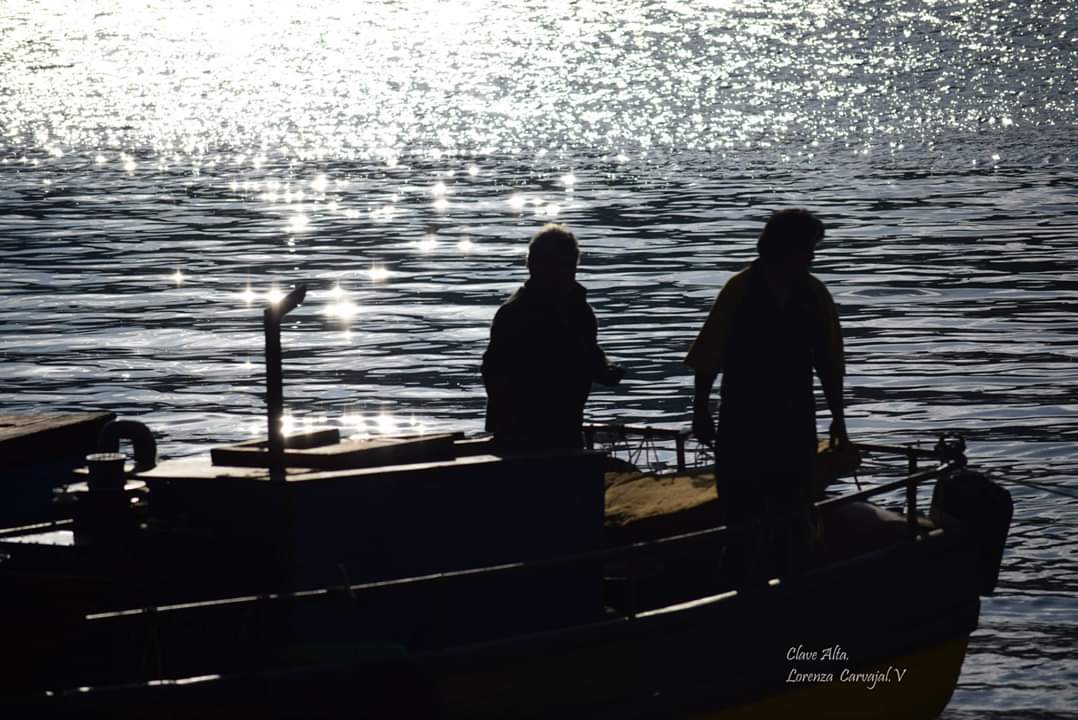Con-Ciencia para salvar los océanos  Centro i~mar celebra el Mes del Mar