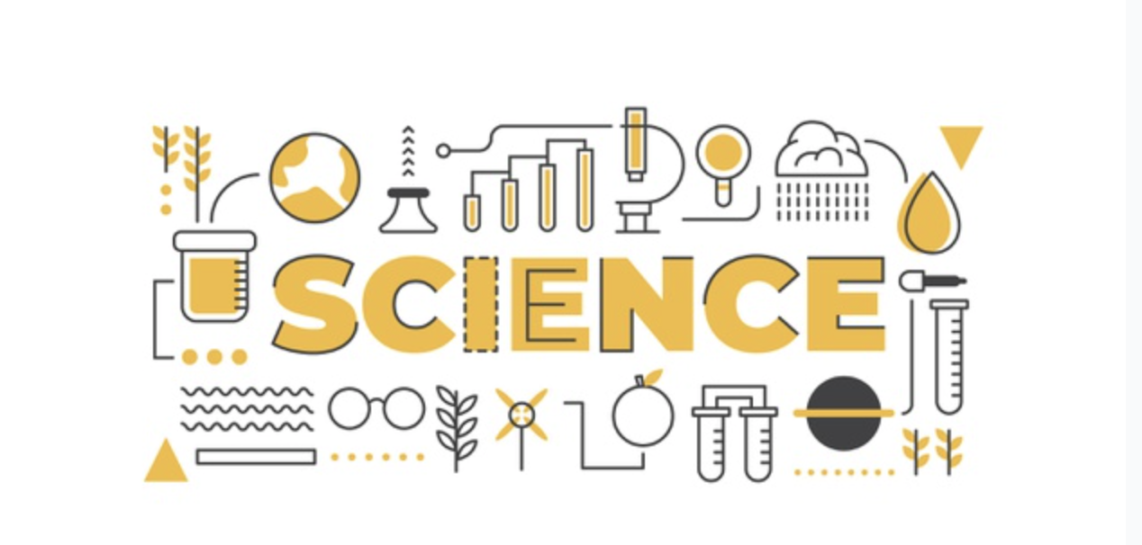 UFRO, UCT, UACH y ULAGOS buscan acelerar el impacto territorial de la ciencia, tecnología, conocimiento e innovación